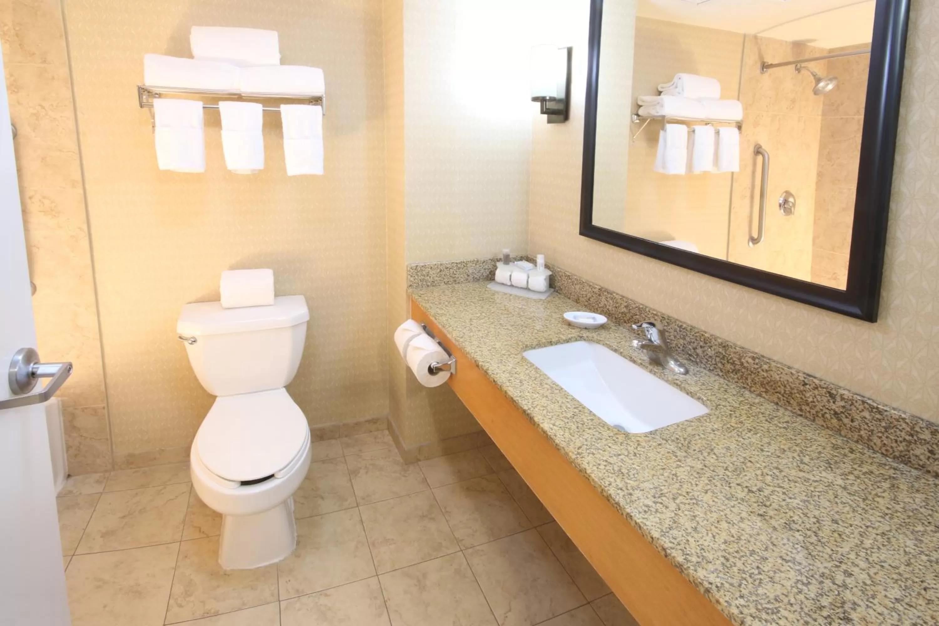 Bathroom in Holiday Inn Express Hotel & Suites CD. Juarez - Las Misiones by IHG