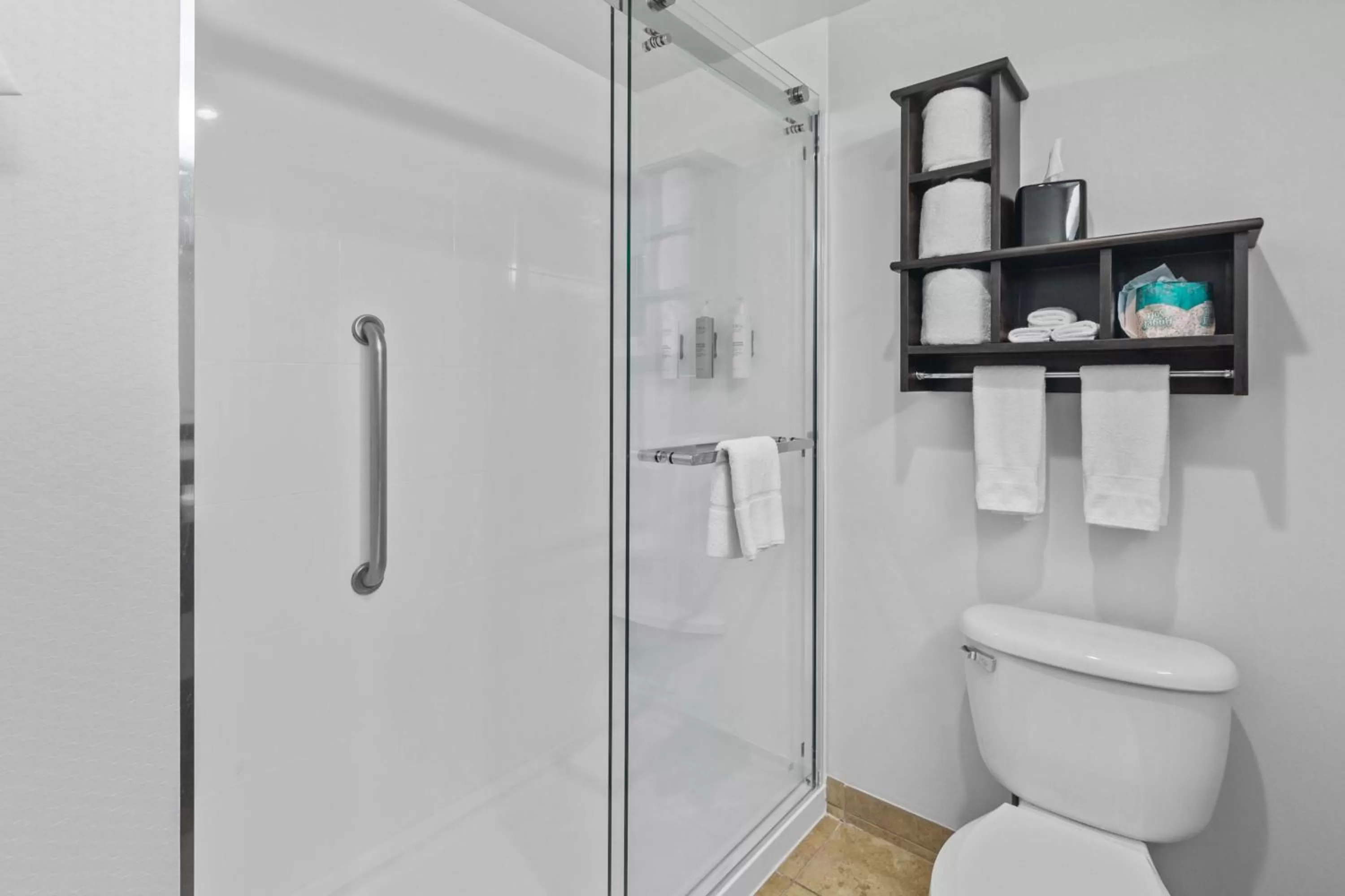 Bathroom in Hampton Inn Atlanta-Woodstock