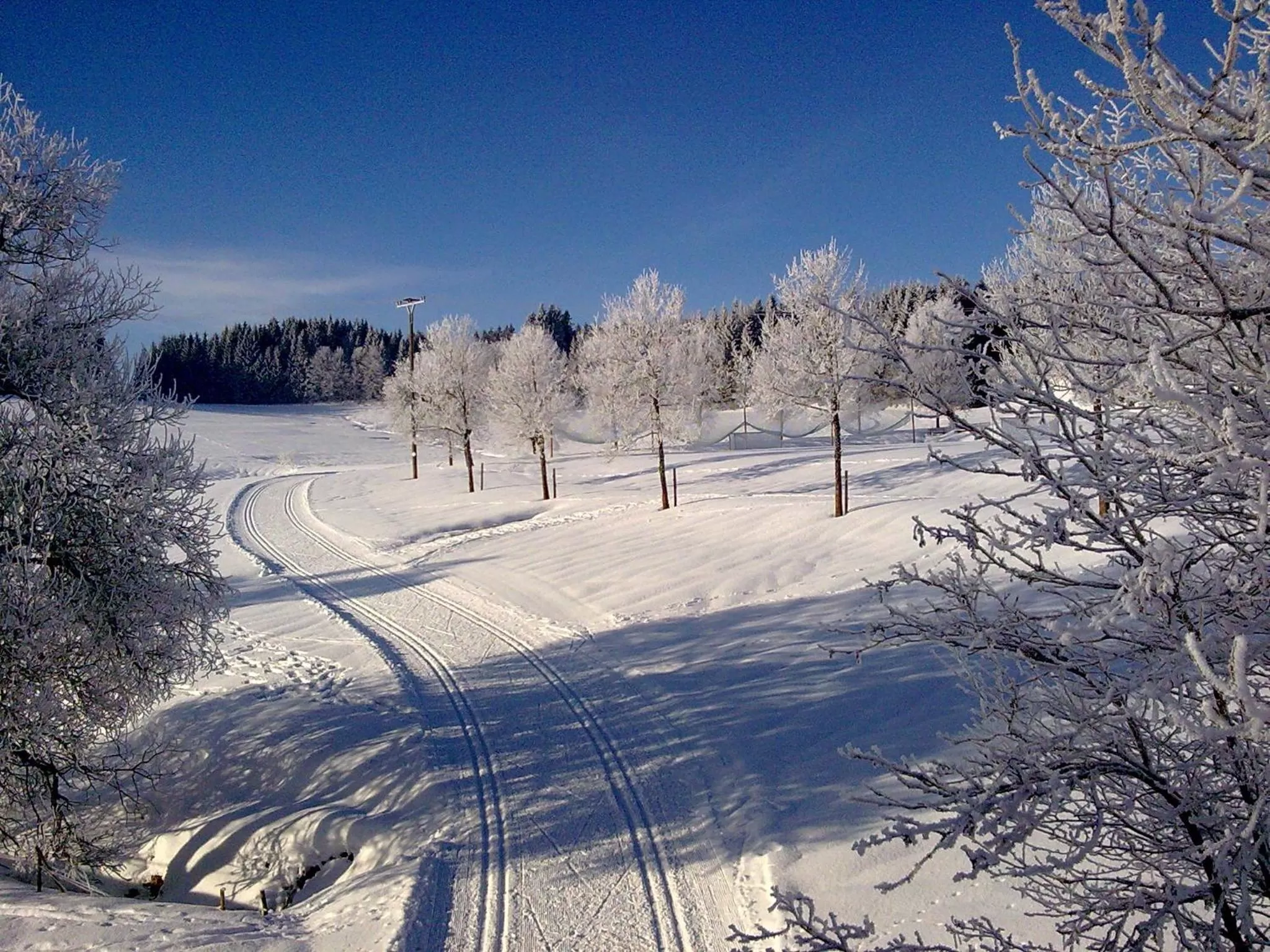 Natural landscape in ZUR TRAUBE Schwarzwaldhotel & Restaurant am Titisee