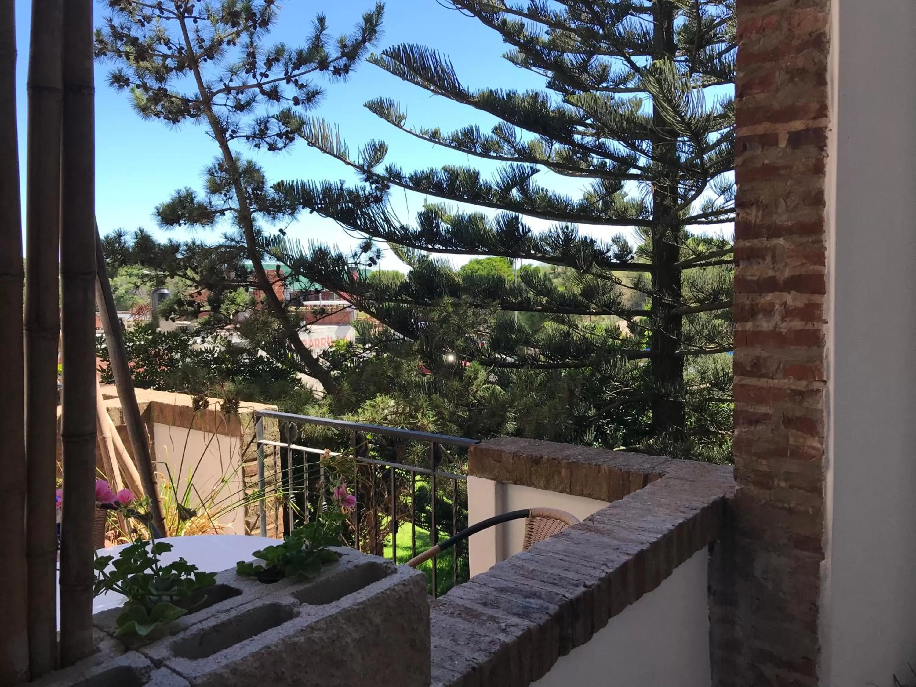 Garden, Balcony/Terrace in Costanera Mar Hotel & Suites