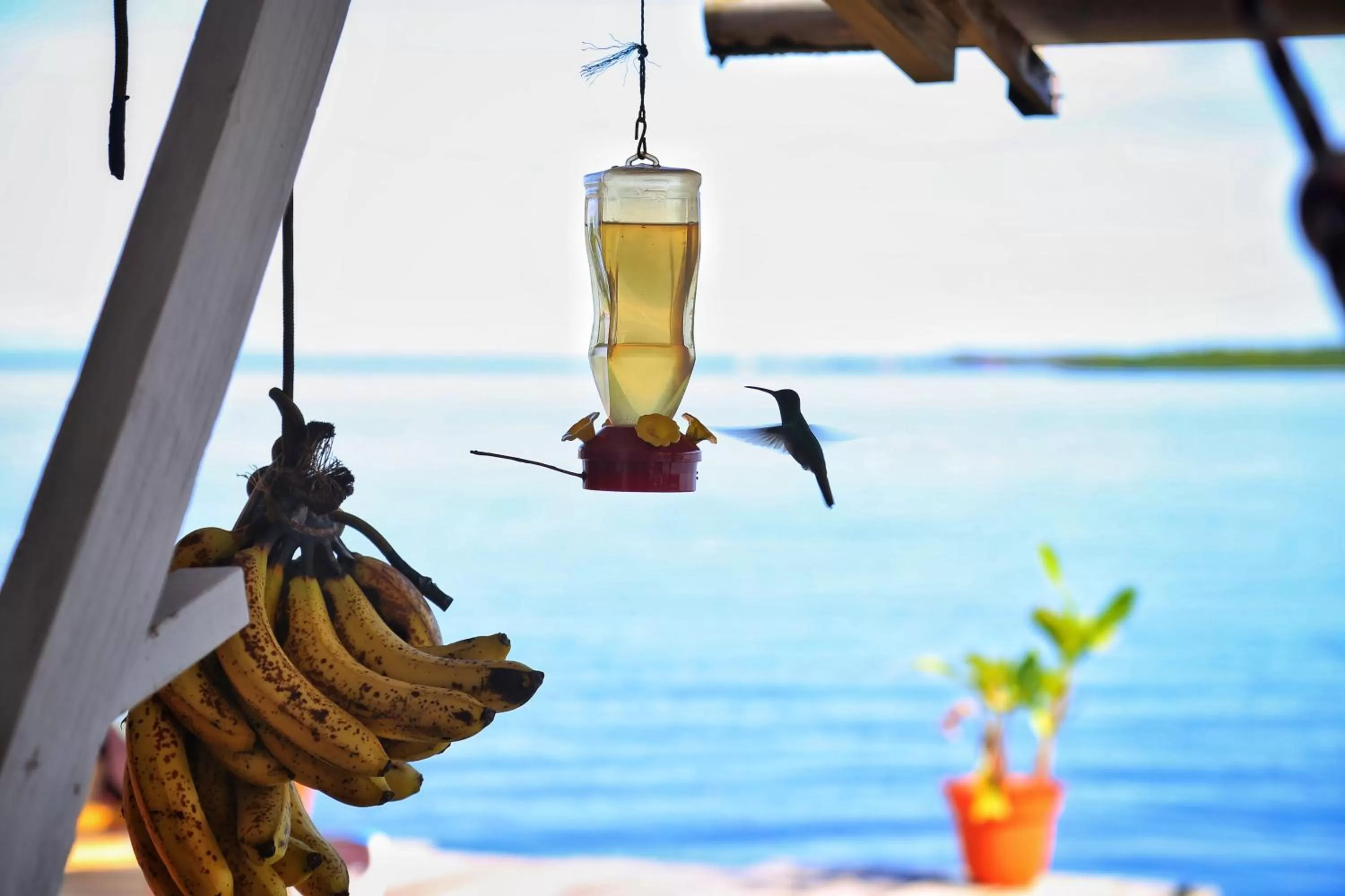 On site in Barrbra BnB Over The Sea