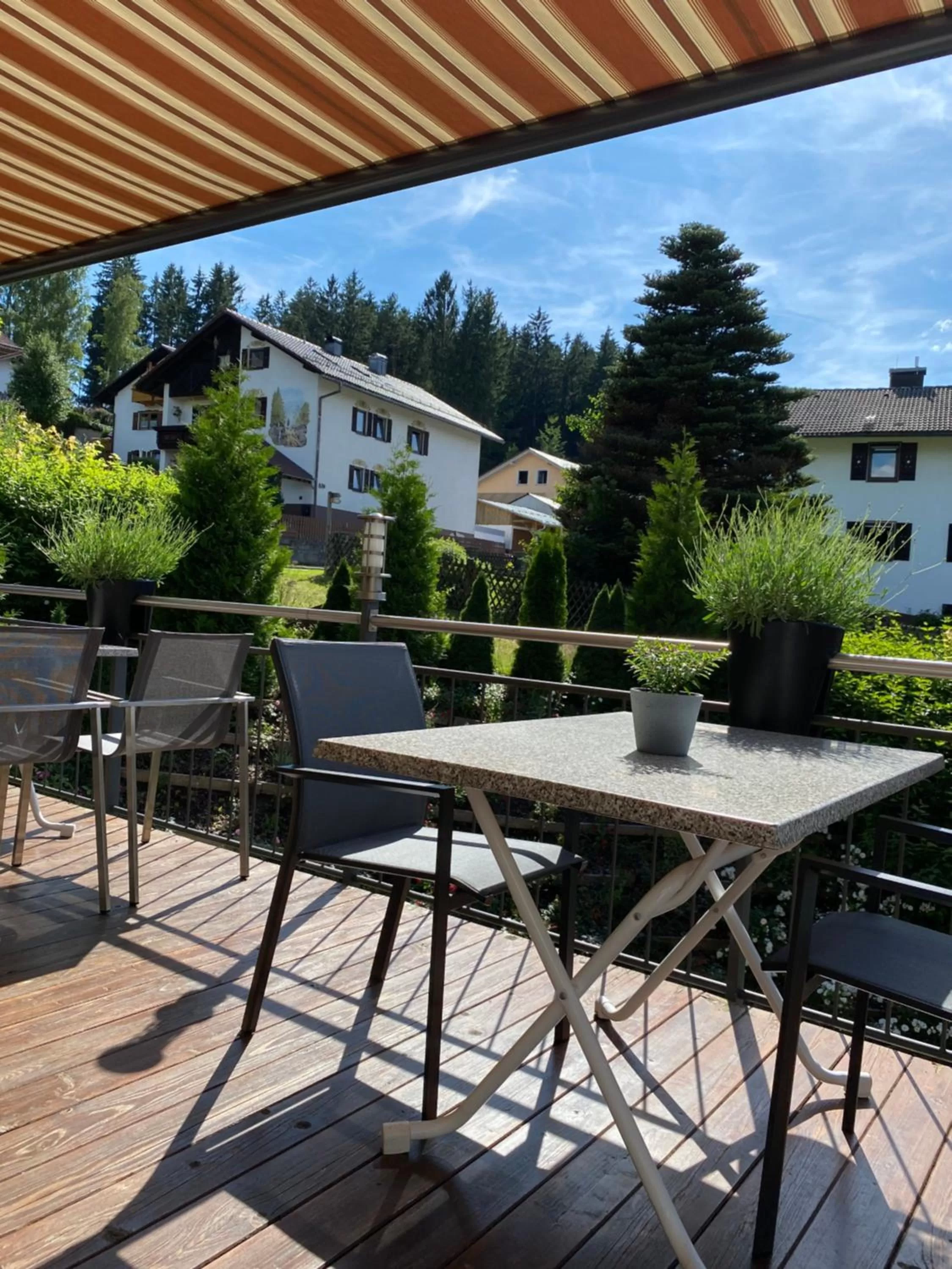 Balcony/Terrace in Hotel Sonnenhof - Superior