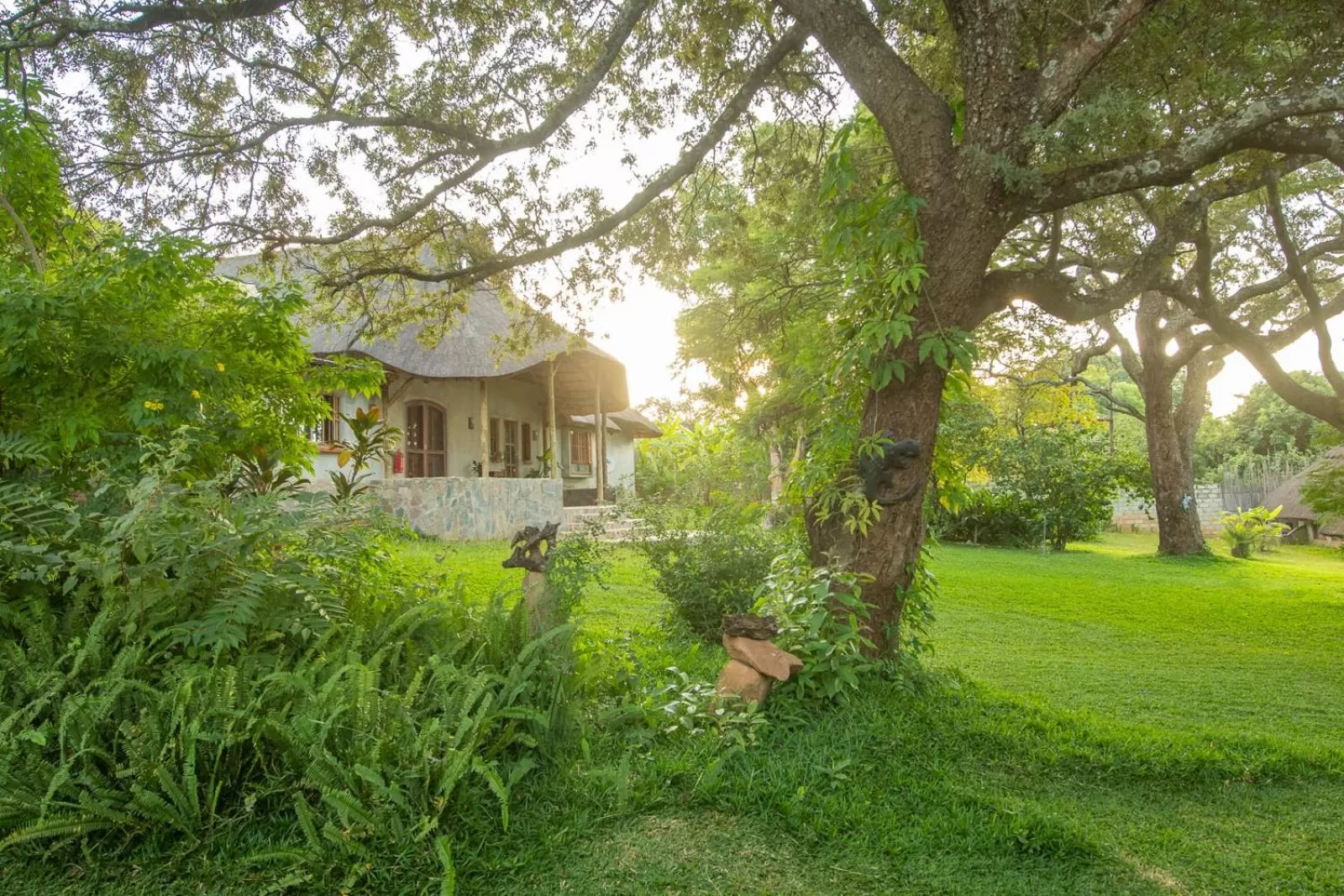 Property Building in Wild Dogs Lodge