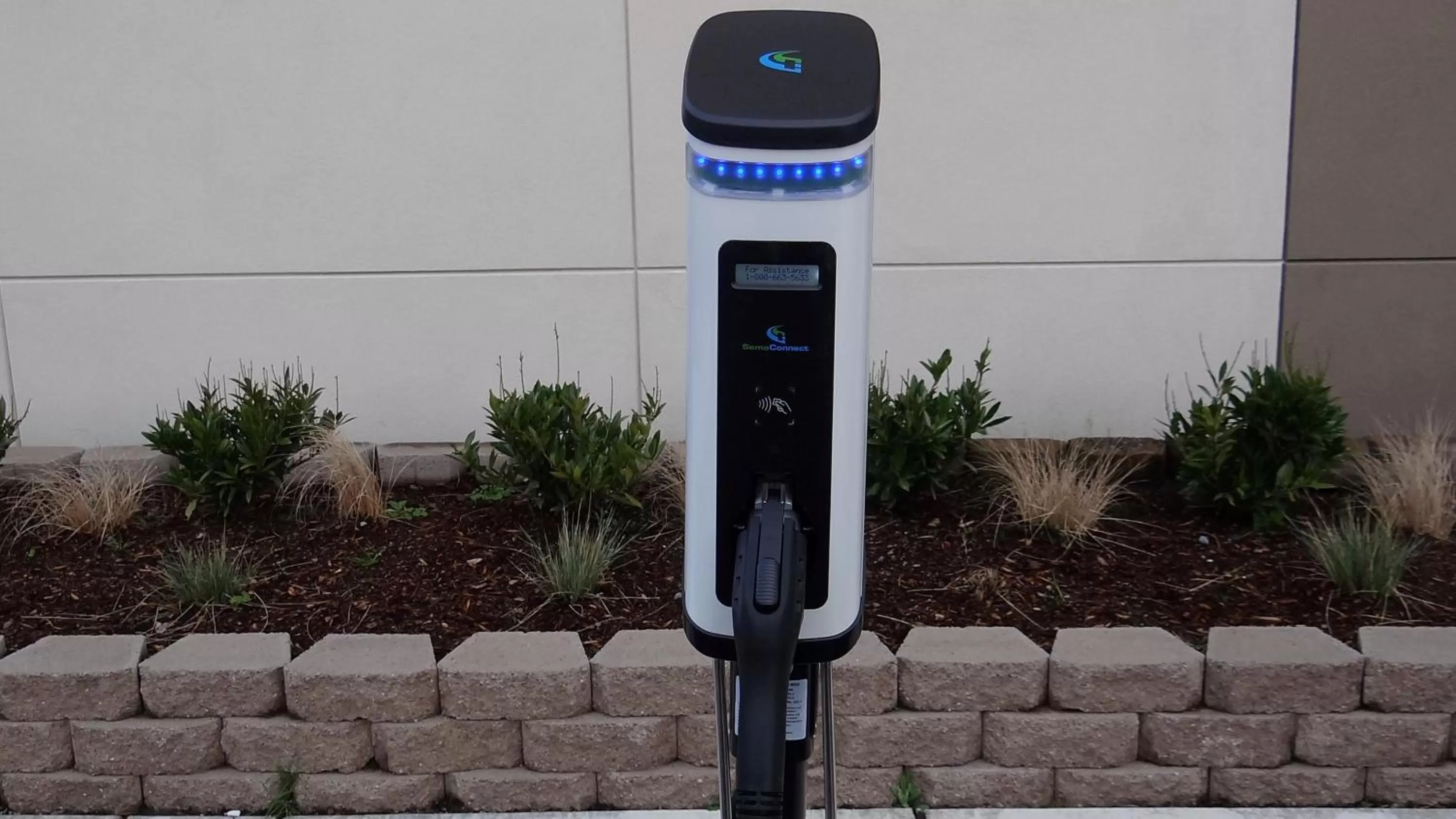 Lobby or reception in Holiday Inn Express & Suites - Auburn Downtown by IHG