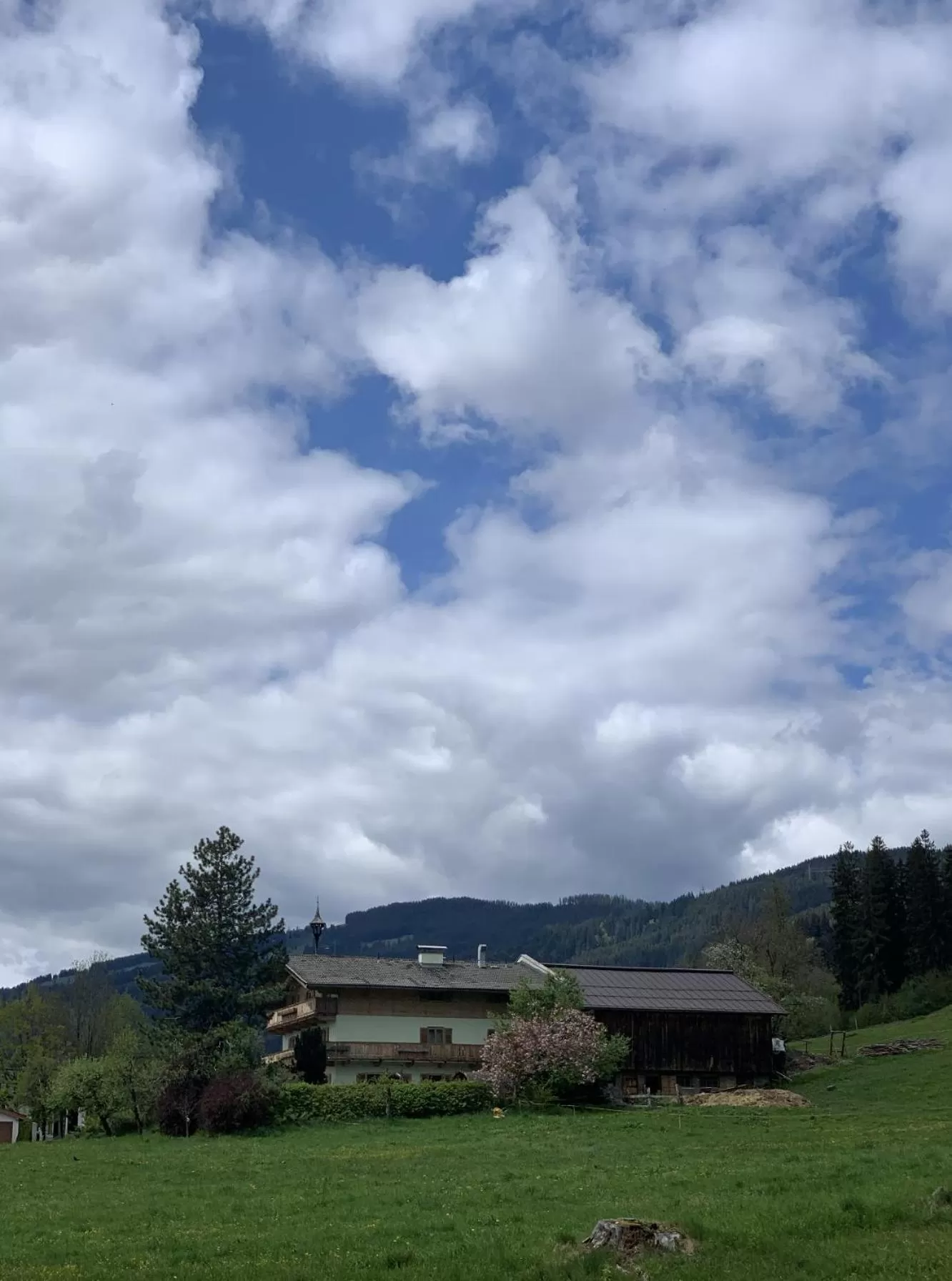 Property building in Hotel Garni Wieshof