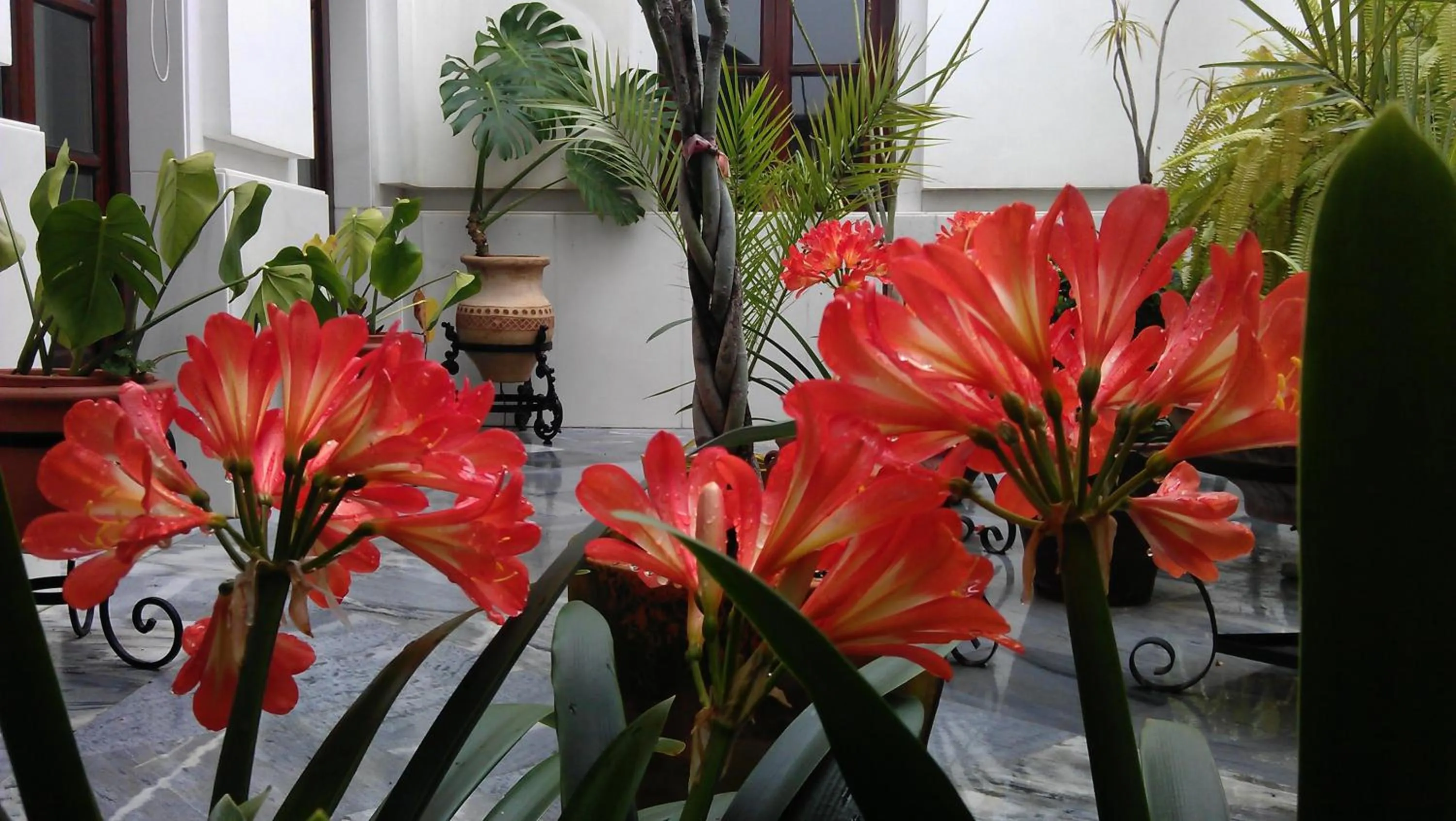 Other in Hotel Maestre