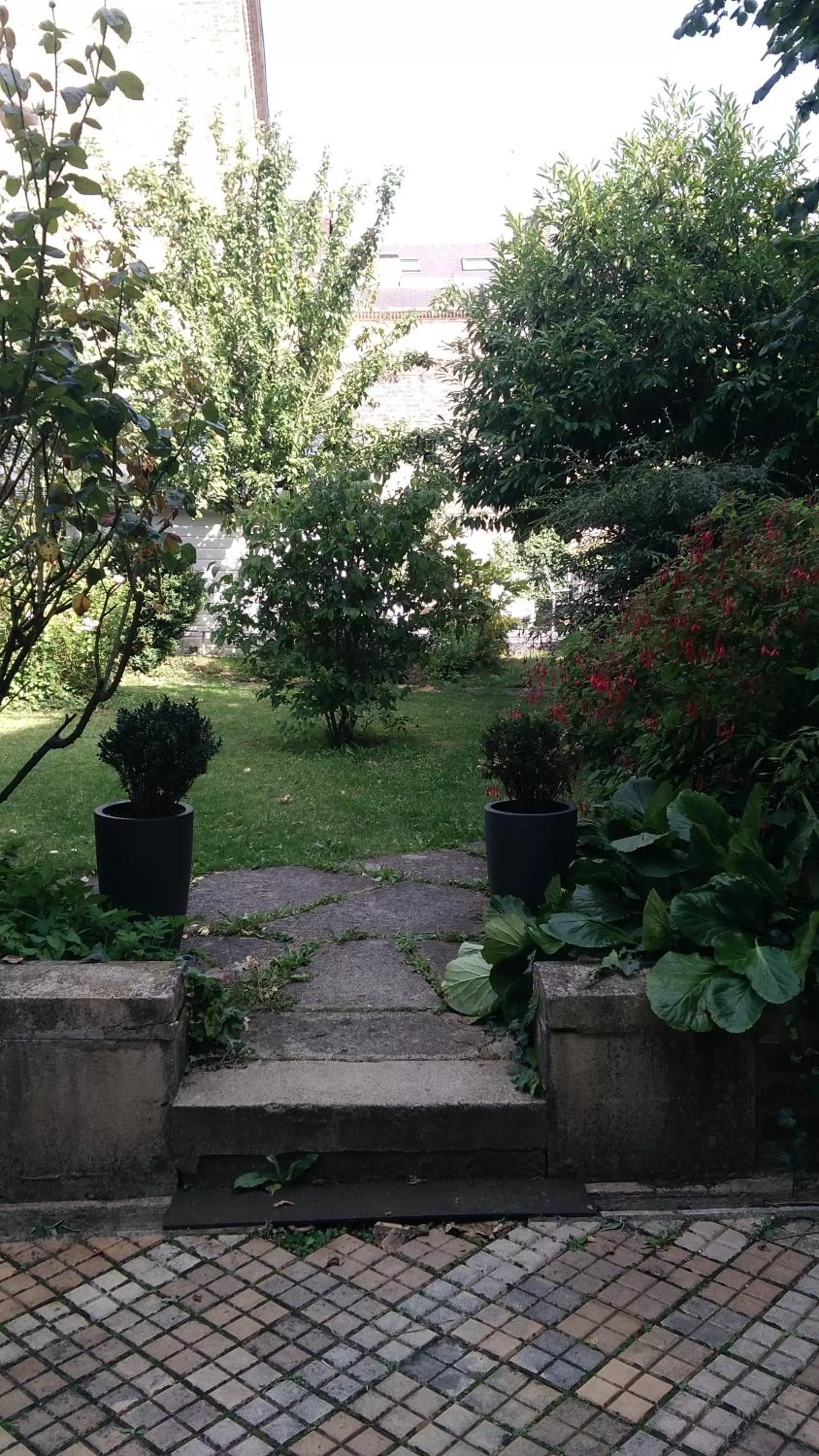 Garden in Jules Verne