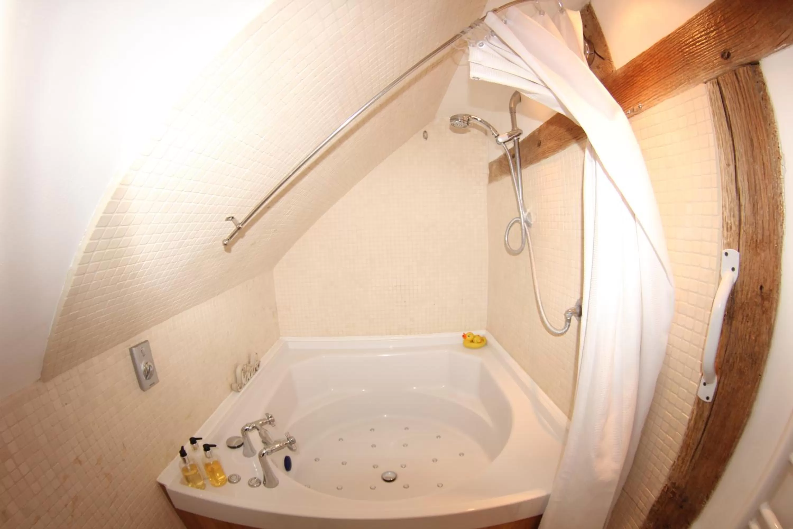 Bathroom in Molland Manor House Bed & Breakfast