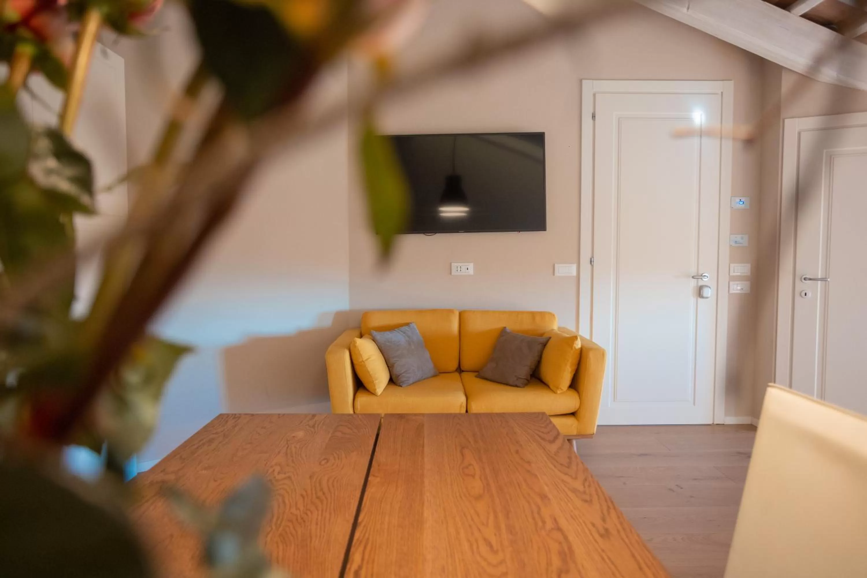 TV and multimedia in Borghetto San Biagio Relais Agriturismo