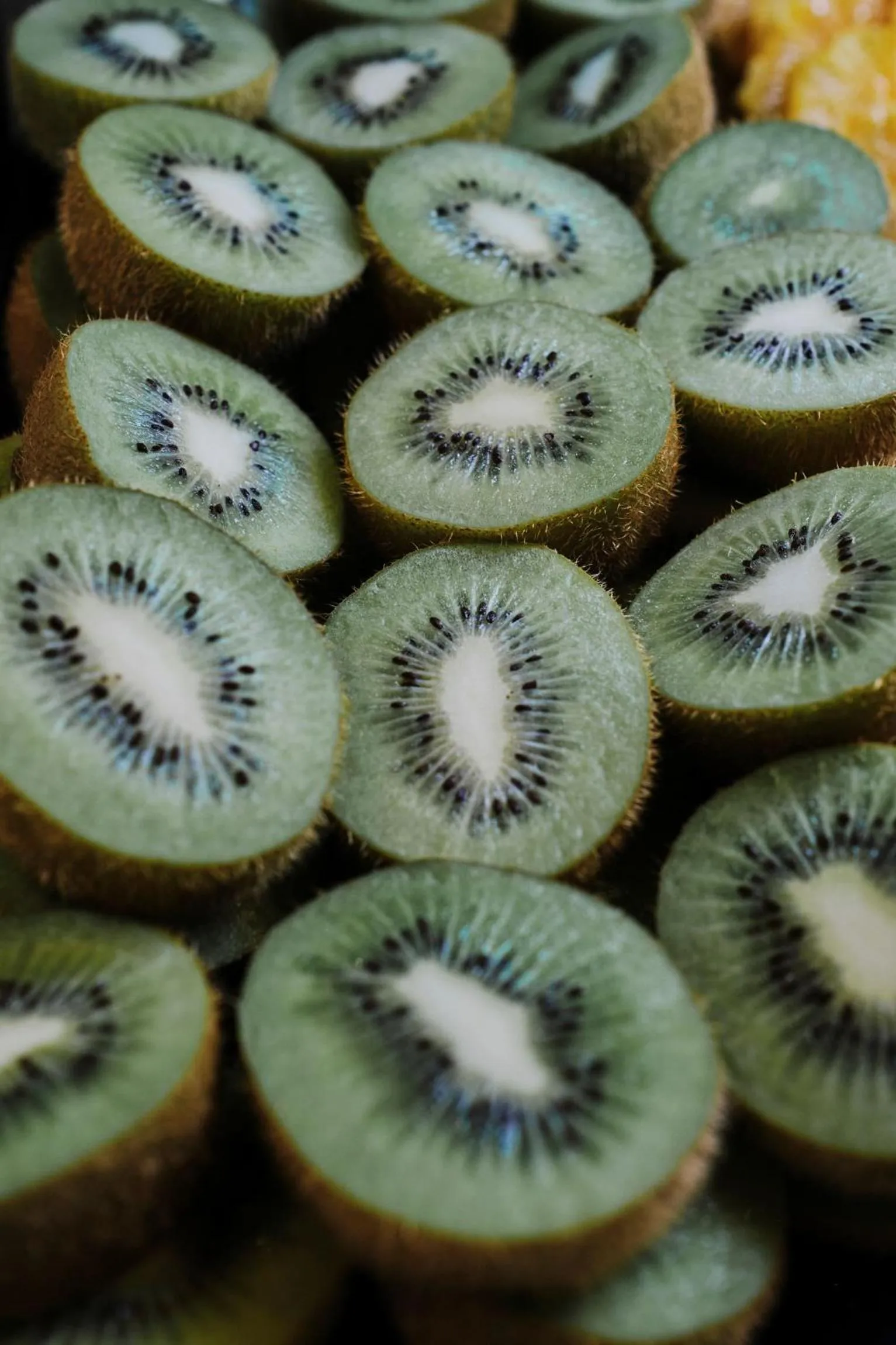 Restaurant/places to eat in Prinsotel Mal Pas - Adults Only