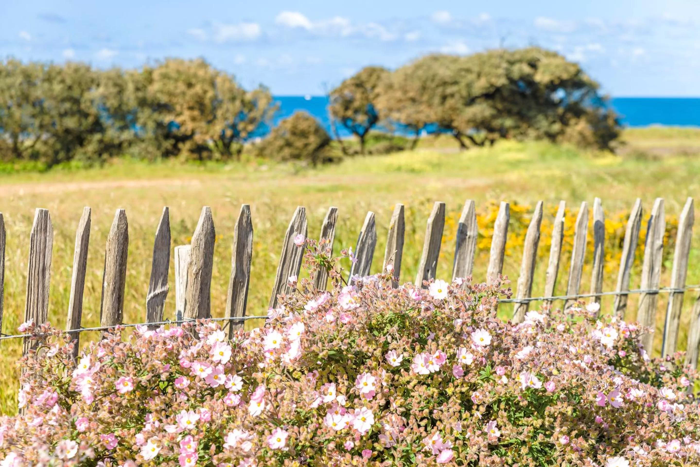 Sea view in Lagrange Vacances L’Estran