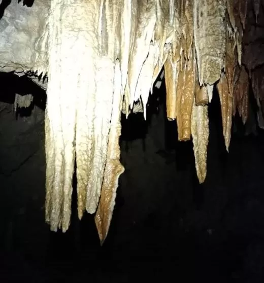 Other Animals in TAZEKKA PARC HOTEL