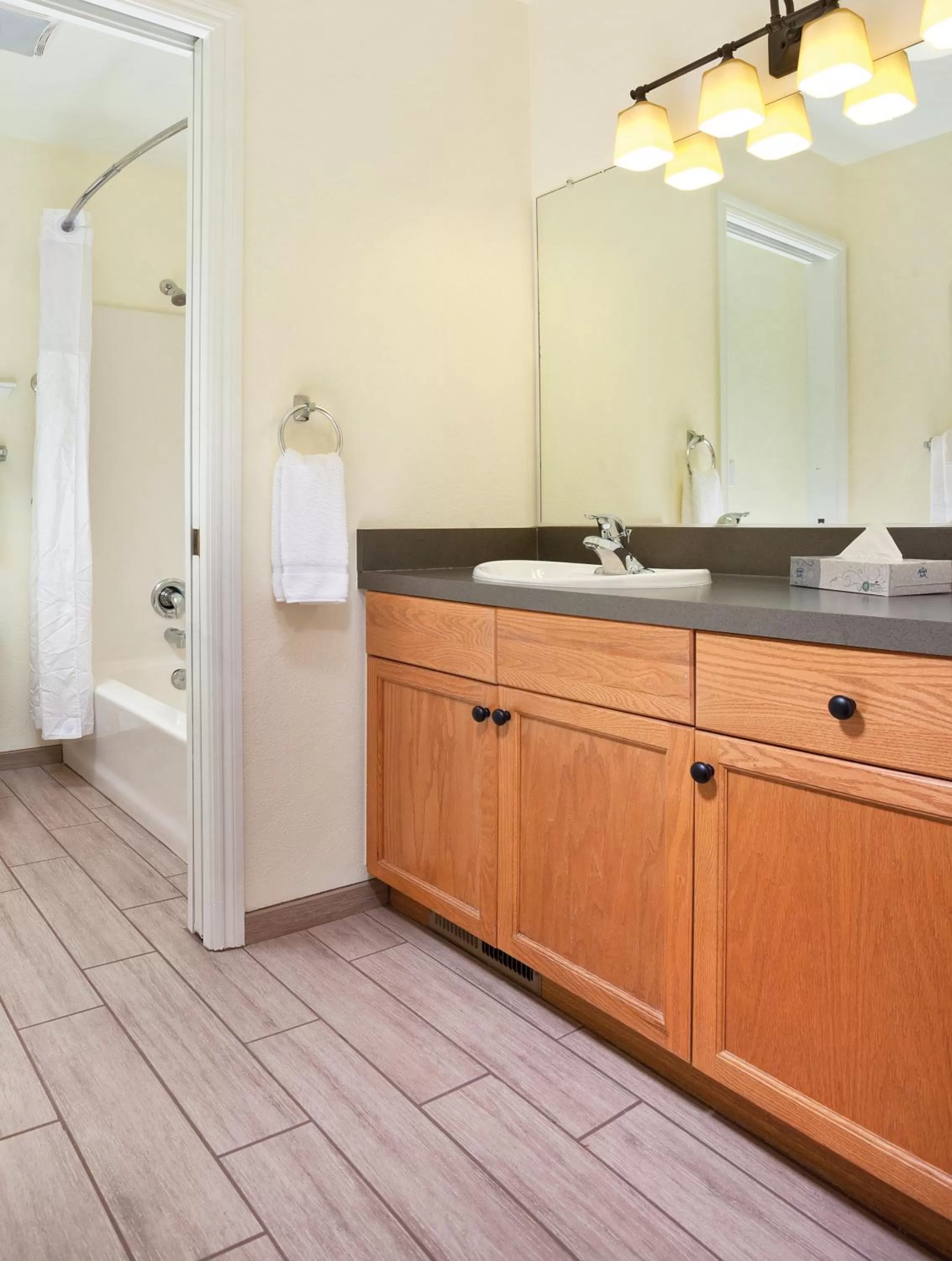 Bathroom in WorldMark Angels Camp