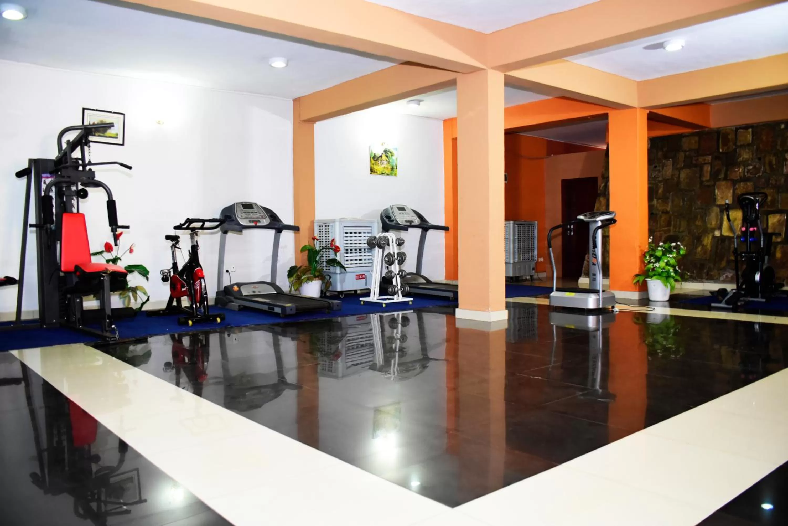 Fitness centre/facilities in Nobleza Hotel