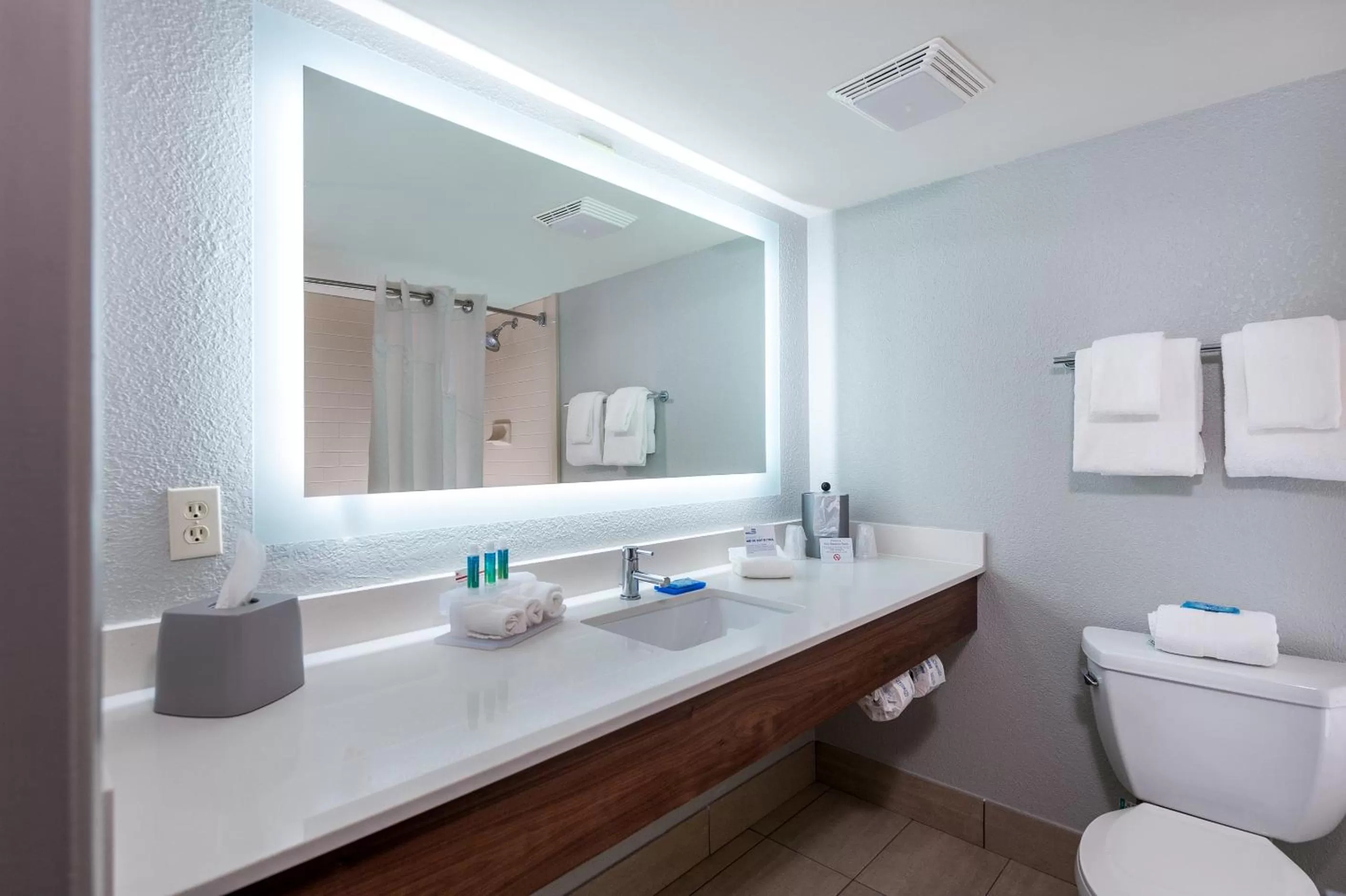 Bathroom in Holiday Inn Express Cape Coral-Fort Myers Area by IHG