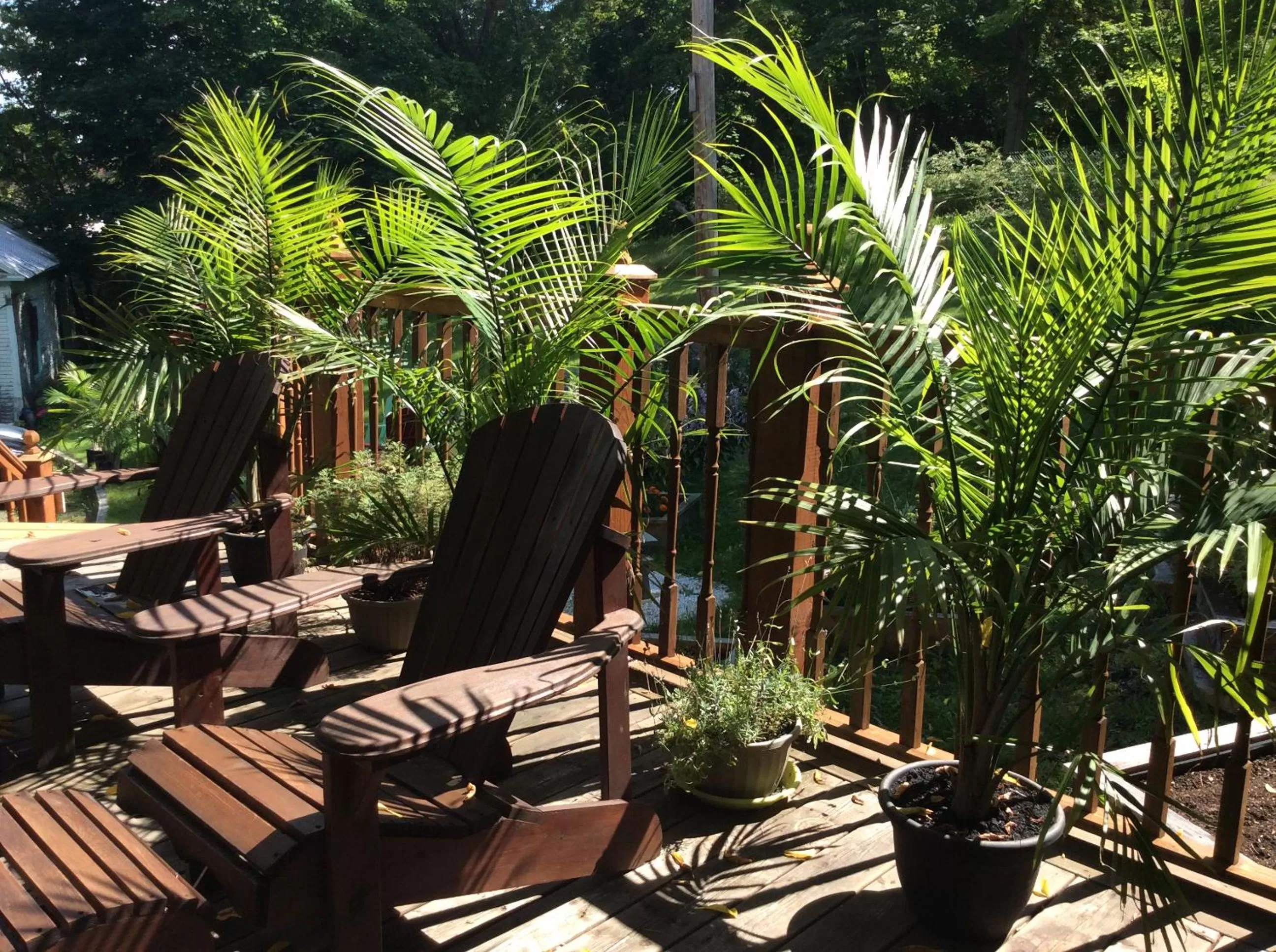 Patio in Île de Garde B&B