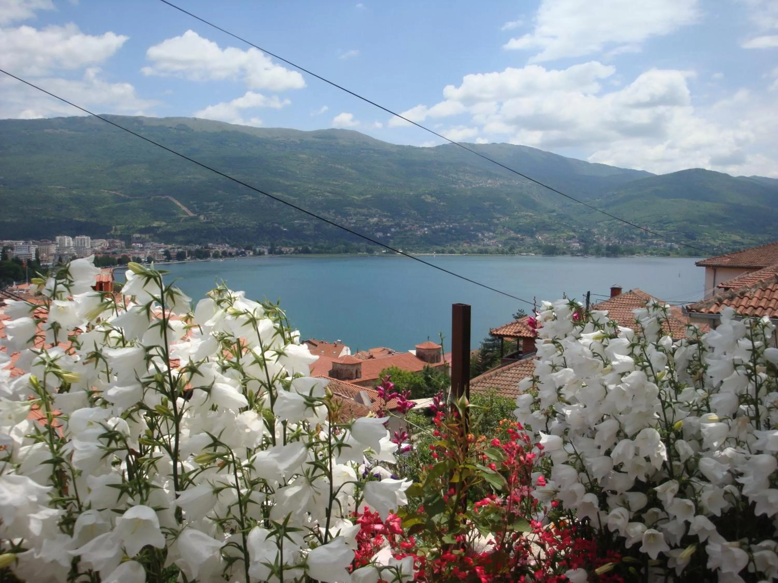 Garden in Apartments Villa Saray