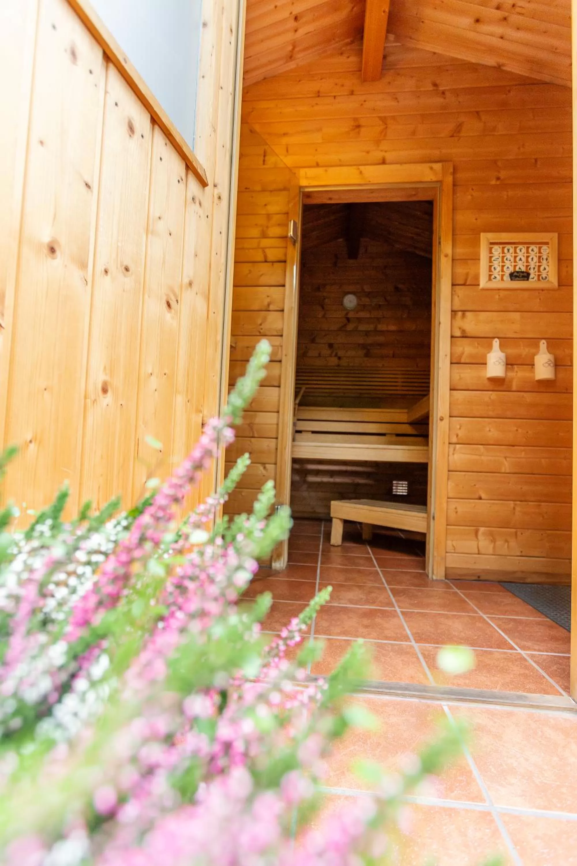 Sauna in Boutiquehotel Schloßpalais