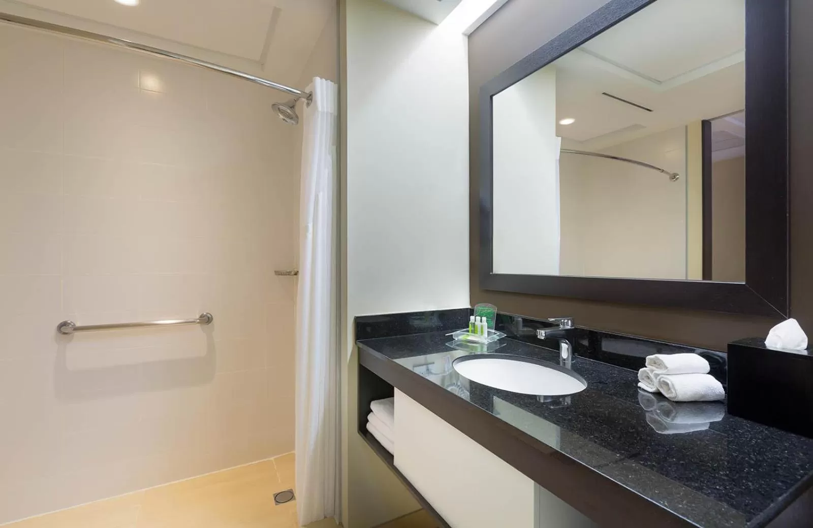 Bathroom in Holiday Inn Panama Distrito Financiero by IHG