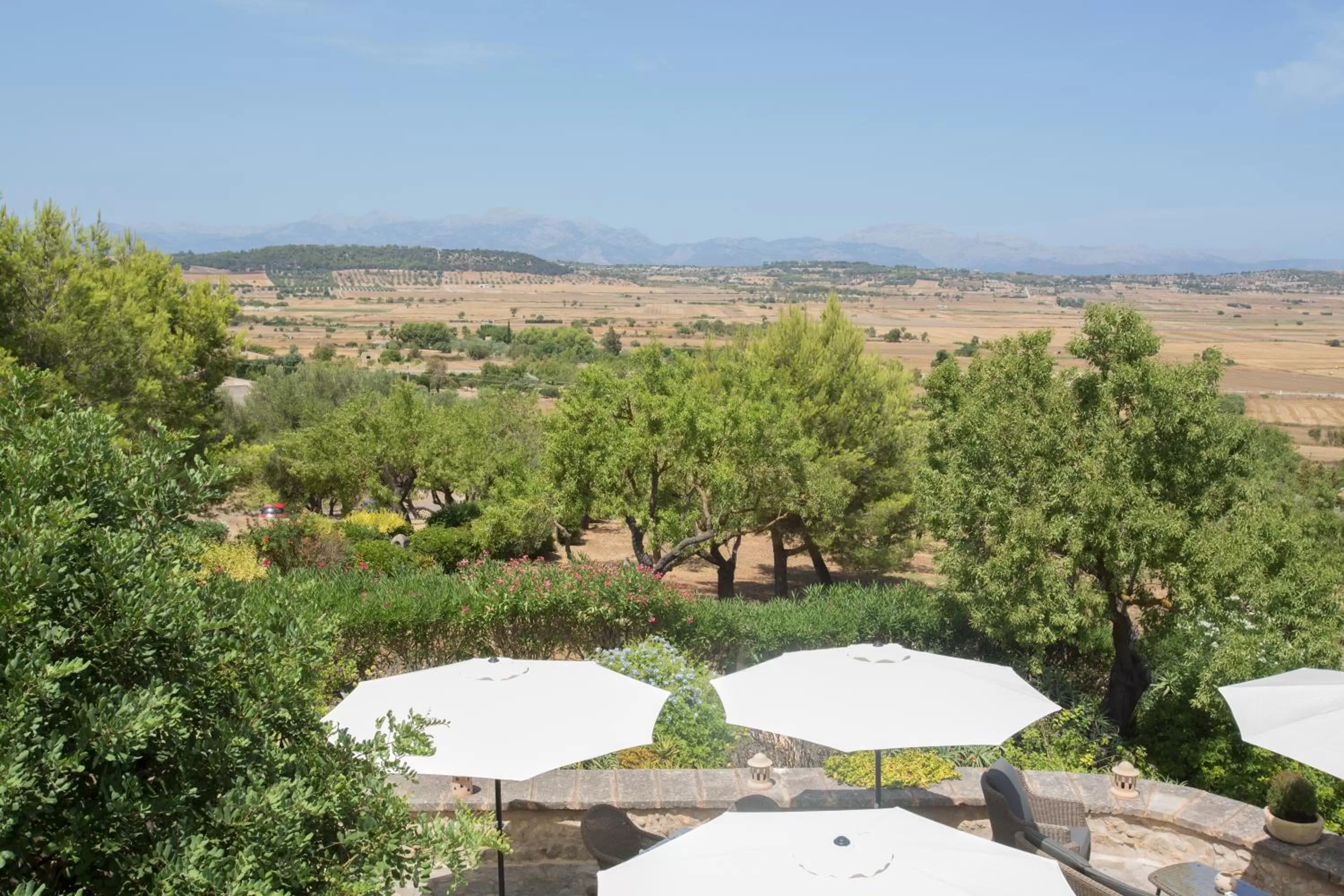 Natural landscape in Casa Font i Roig