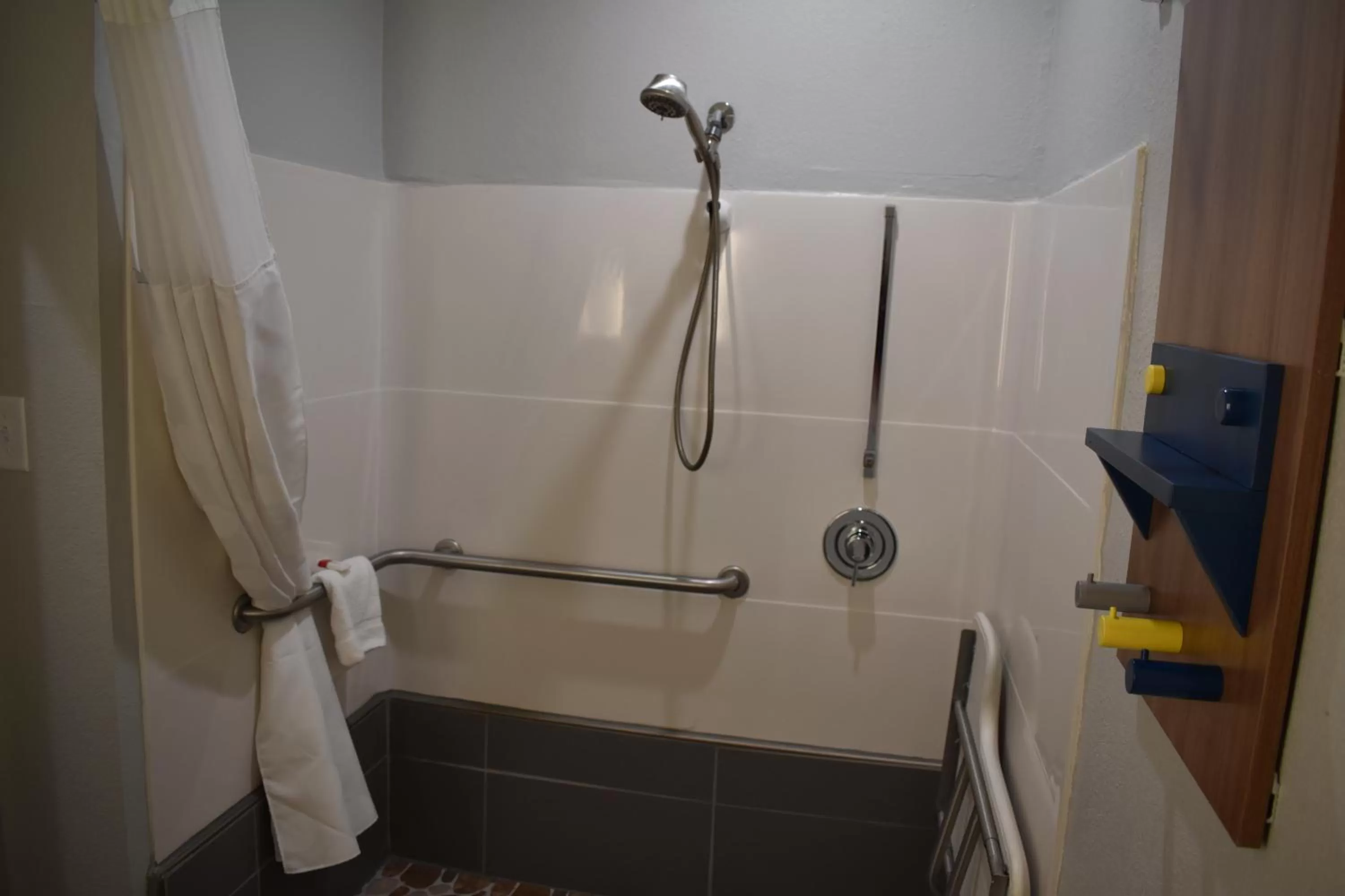 Shower in Microtel Inn & Suites by Wyndham Stockbridge/Atlanta I-75