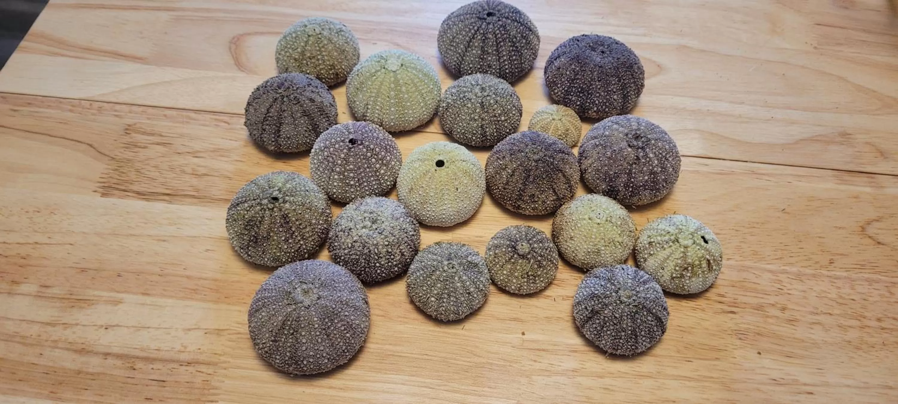 Natural landscape in The Harbourside Inn