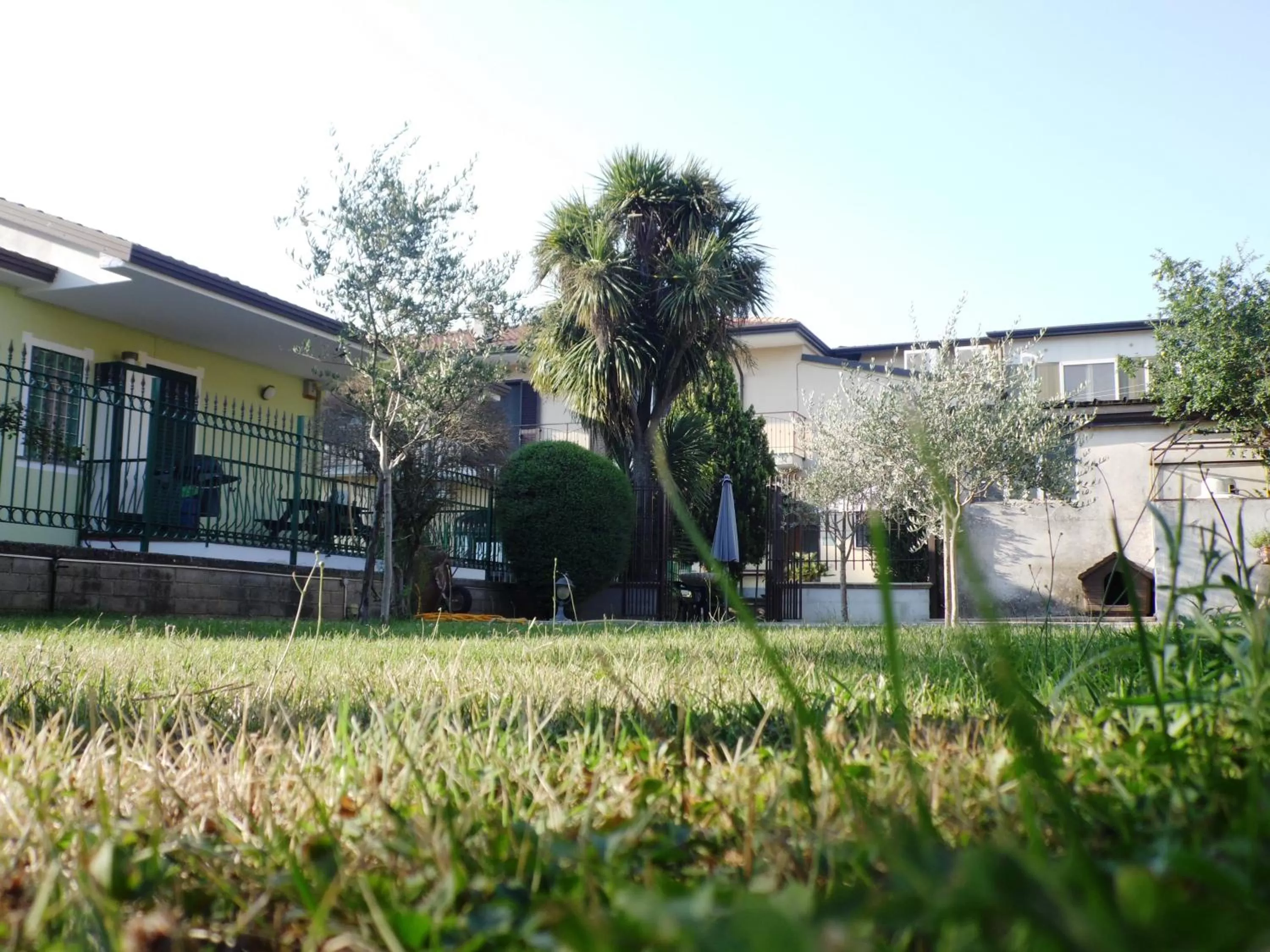Shopping Area in Hotel Rosso Di Sera