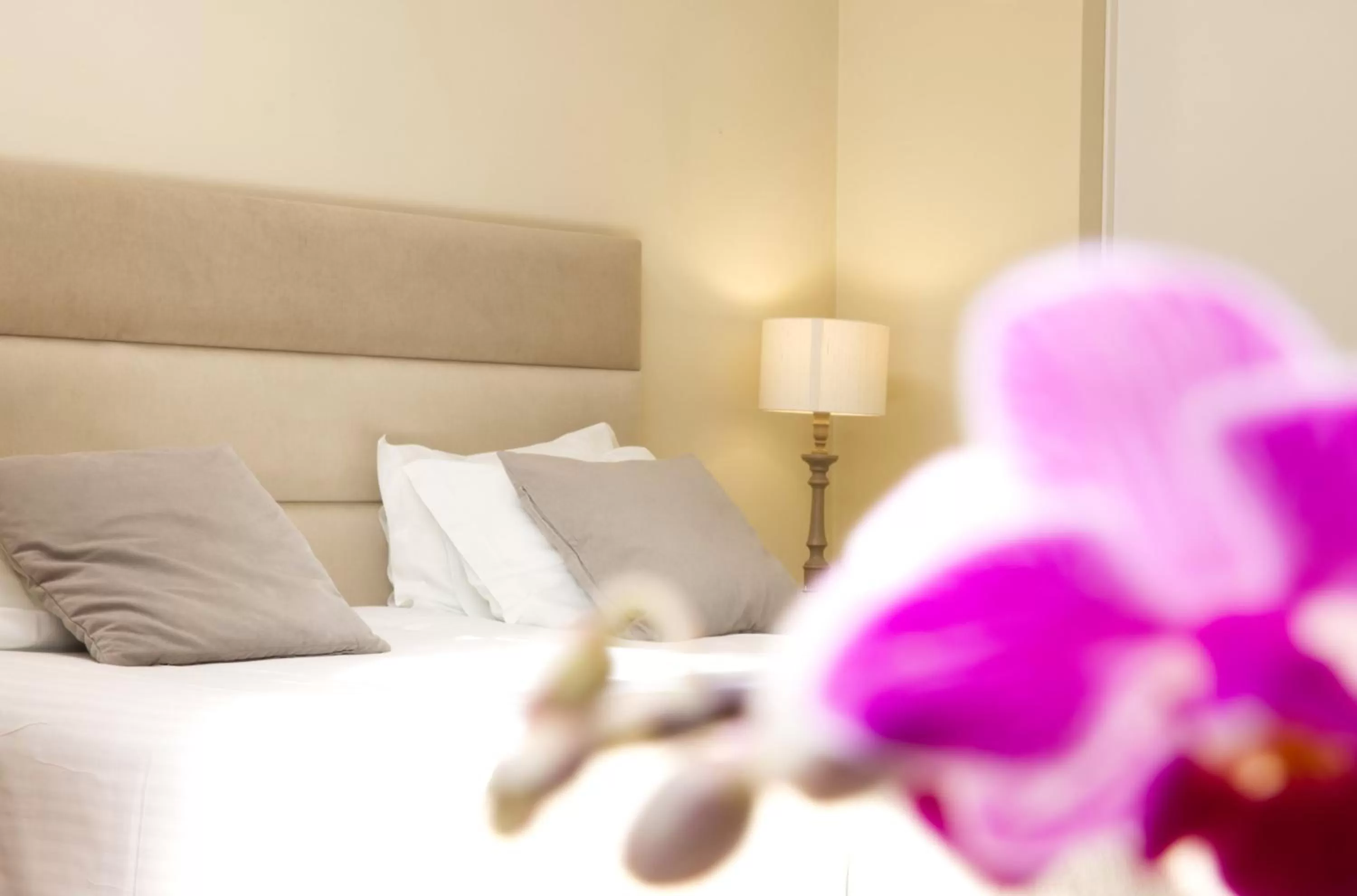 Bedroom, Bed in Cegonha Country Club