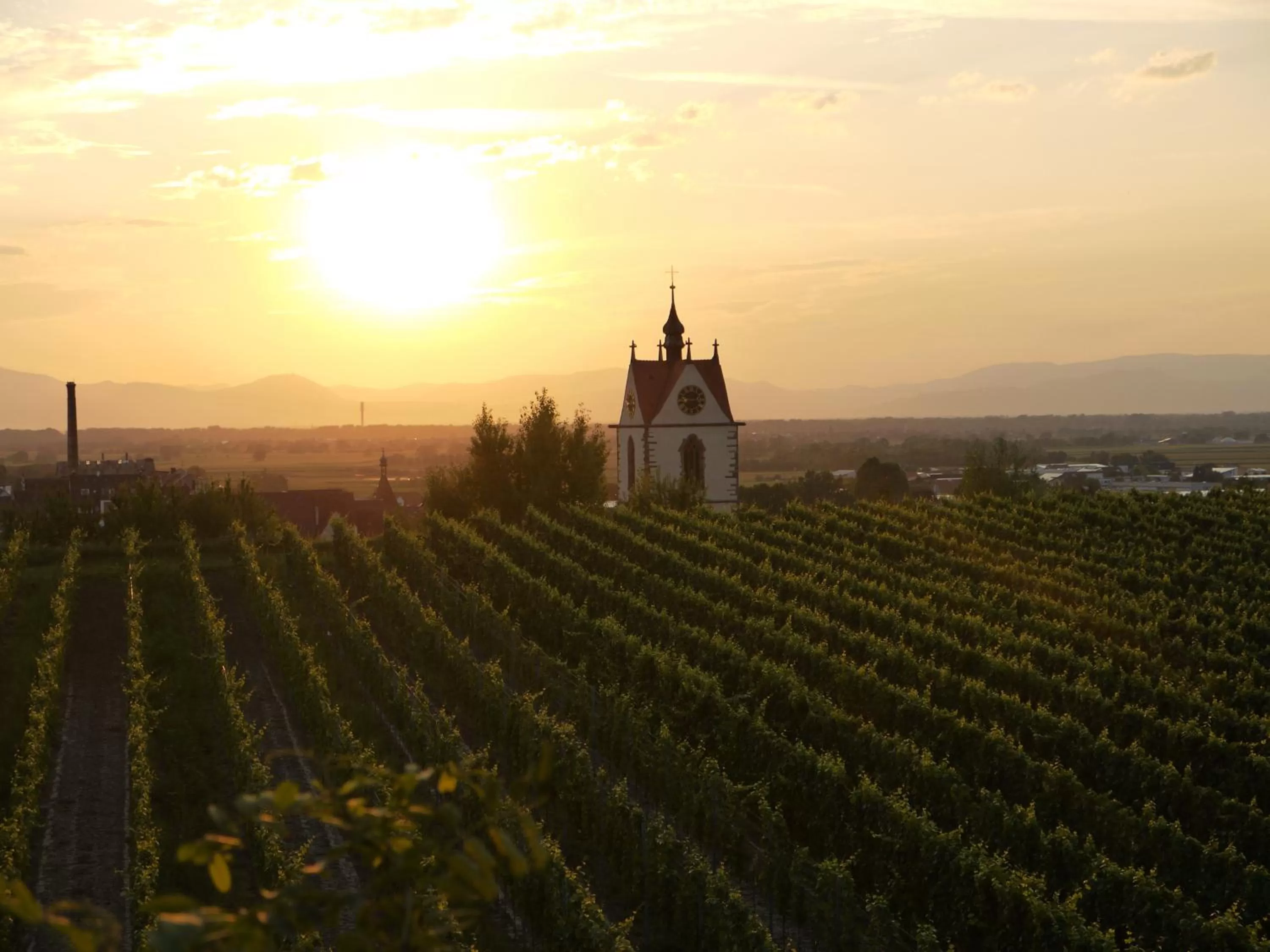 Neighbourhood, Sunrise/Sunset in Hotel Engel