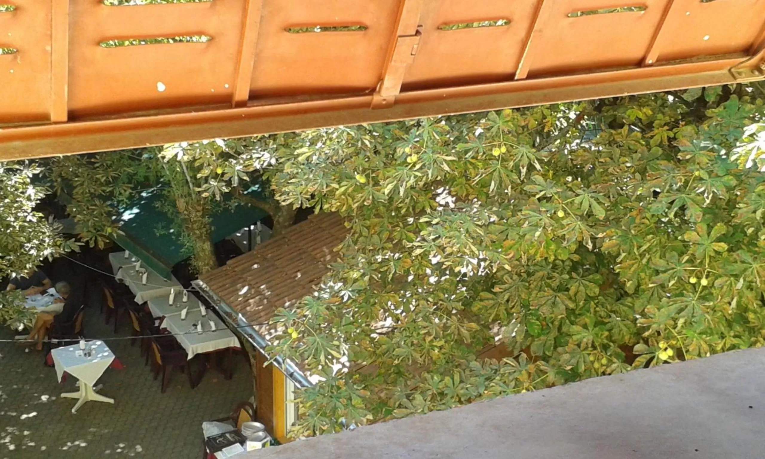 View (from property/room), Garden View in Hôtel Restaurant Le Pavillon