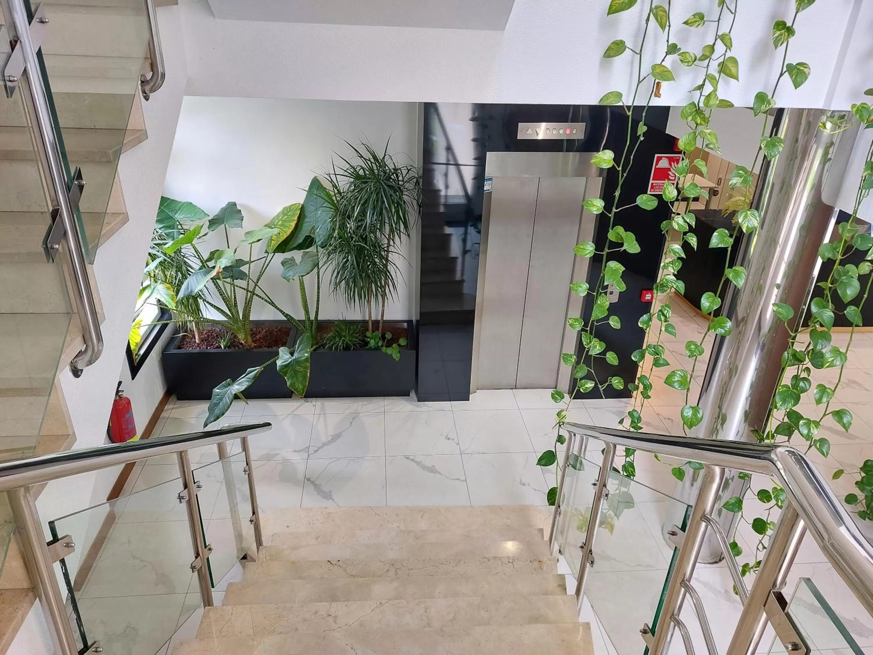 Decorative detail in Hotel Costa Atlántica