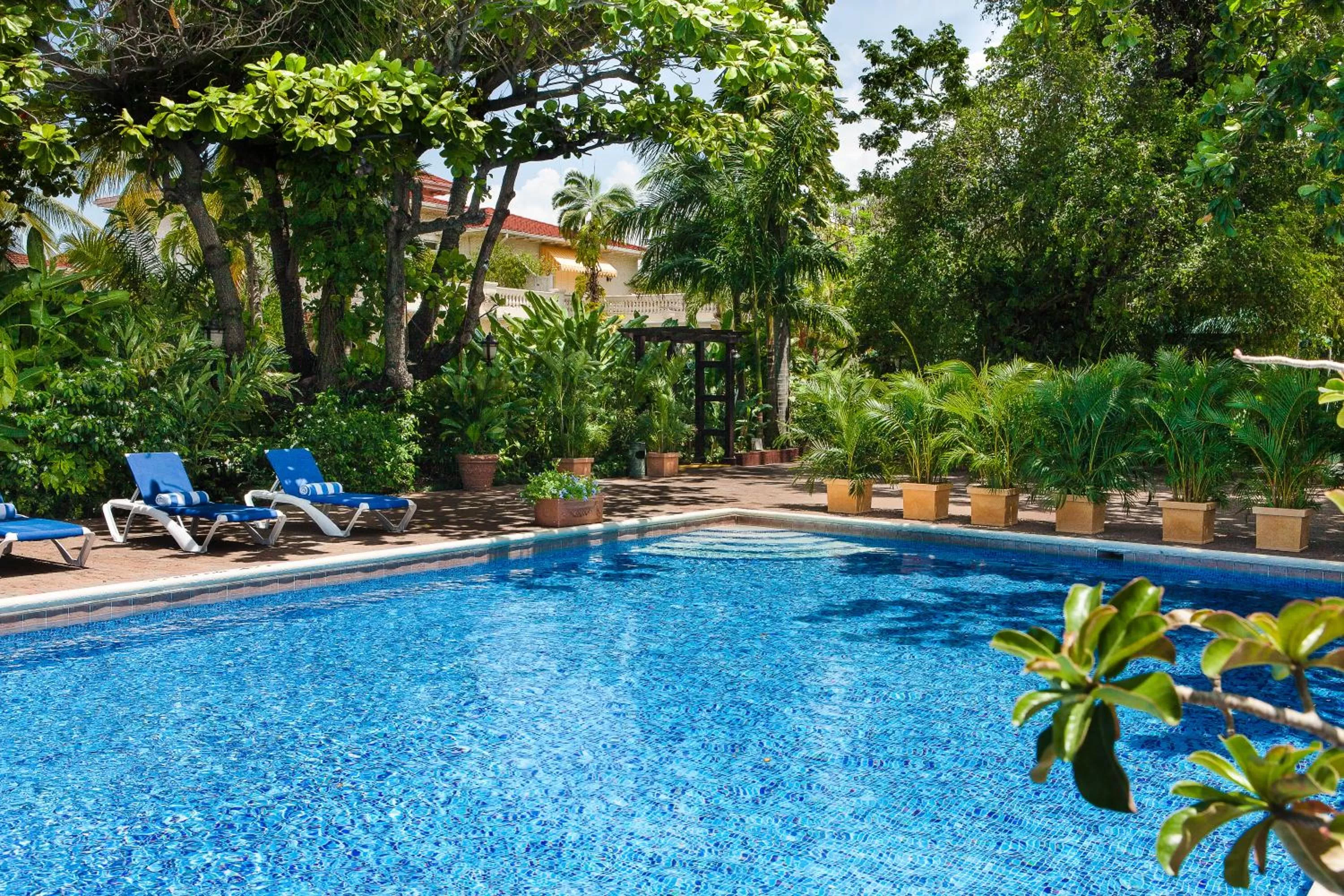 Day in Terra Nova, BW Premier Collection