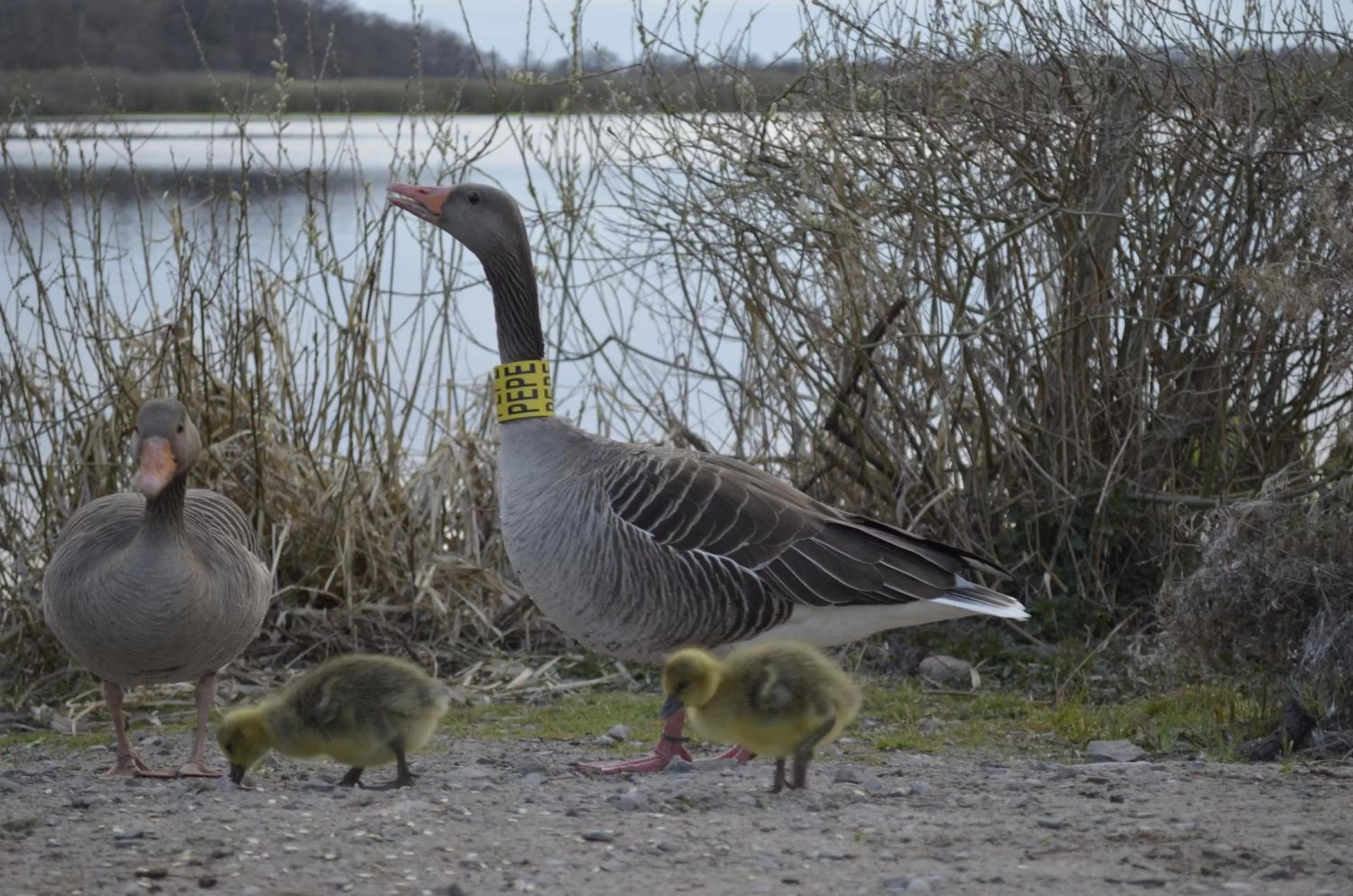 Off site in Hotel Mona Lisa Wellness & Spa