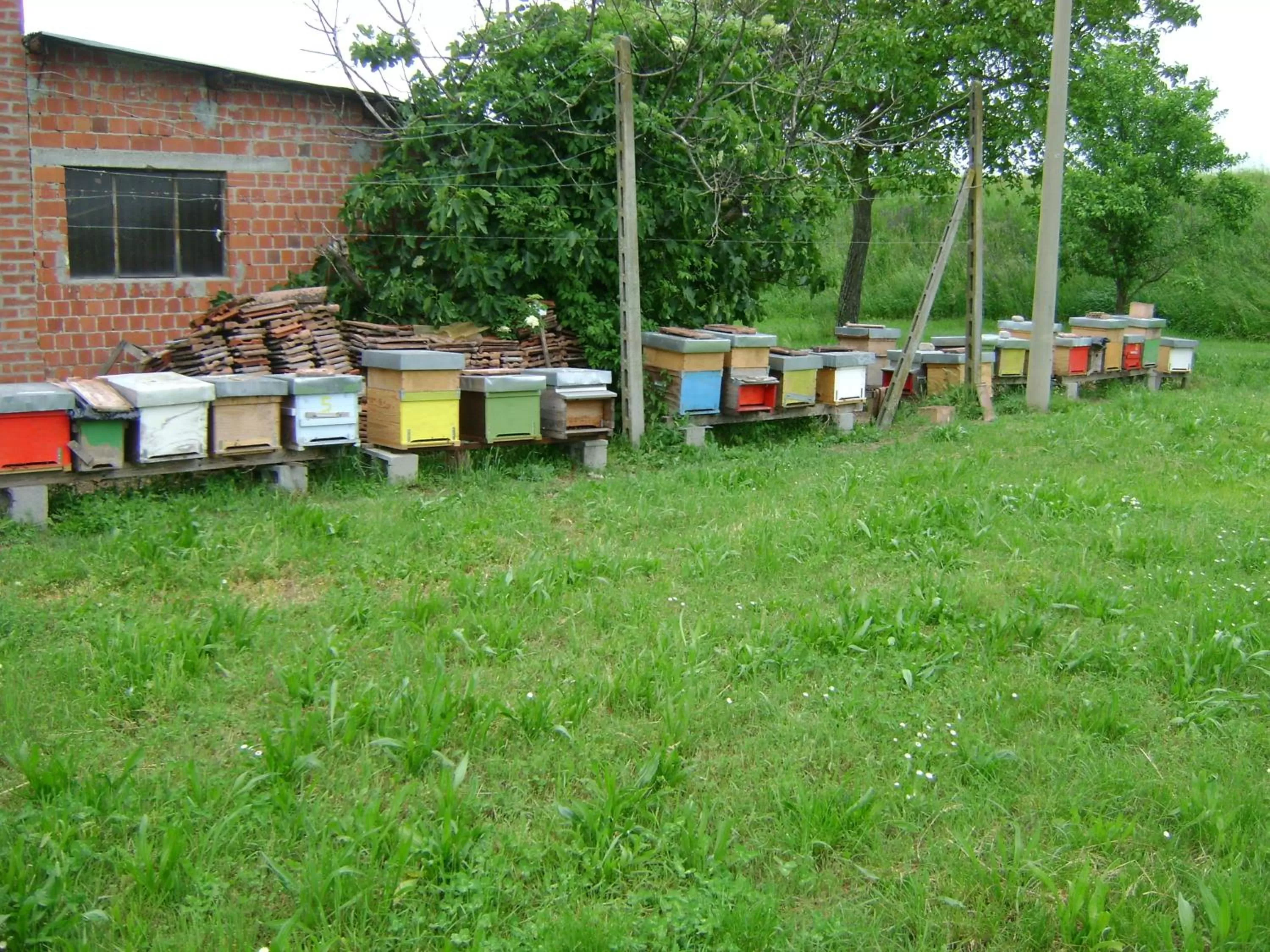 Area and facilities in B&B Lattemiele