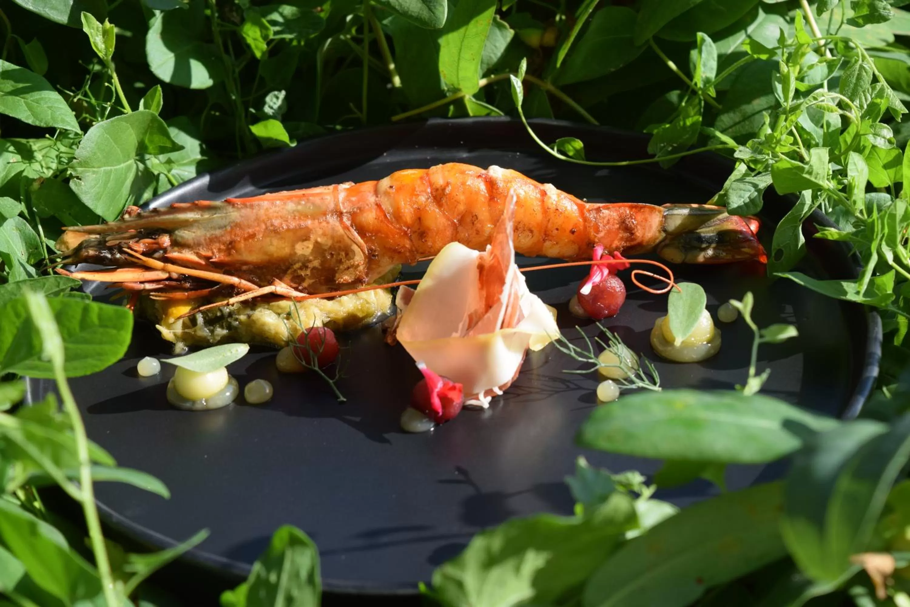 Food in Chateau du Clos de la Ribaudiere - Teritoria