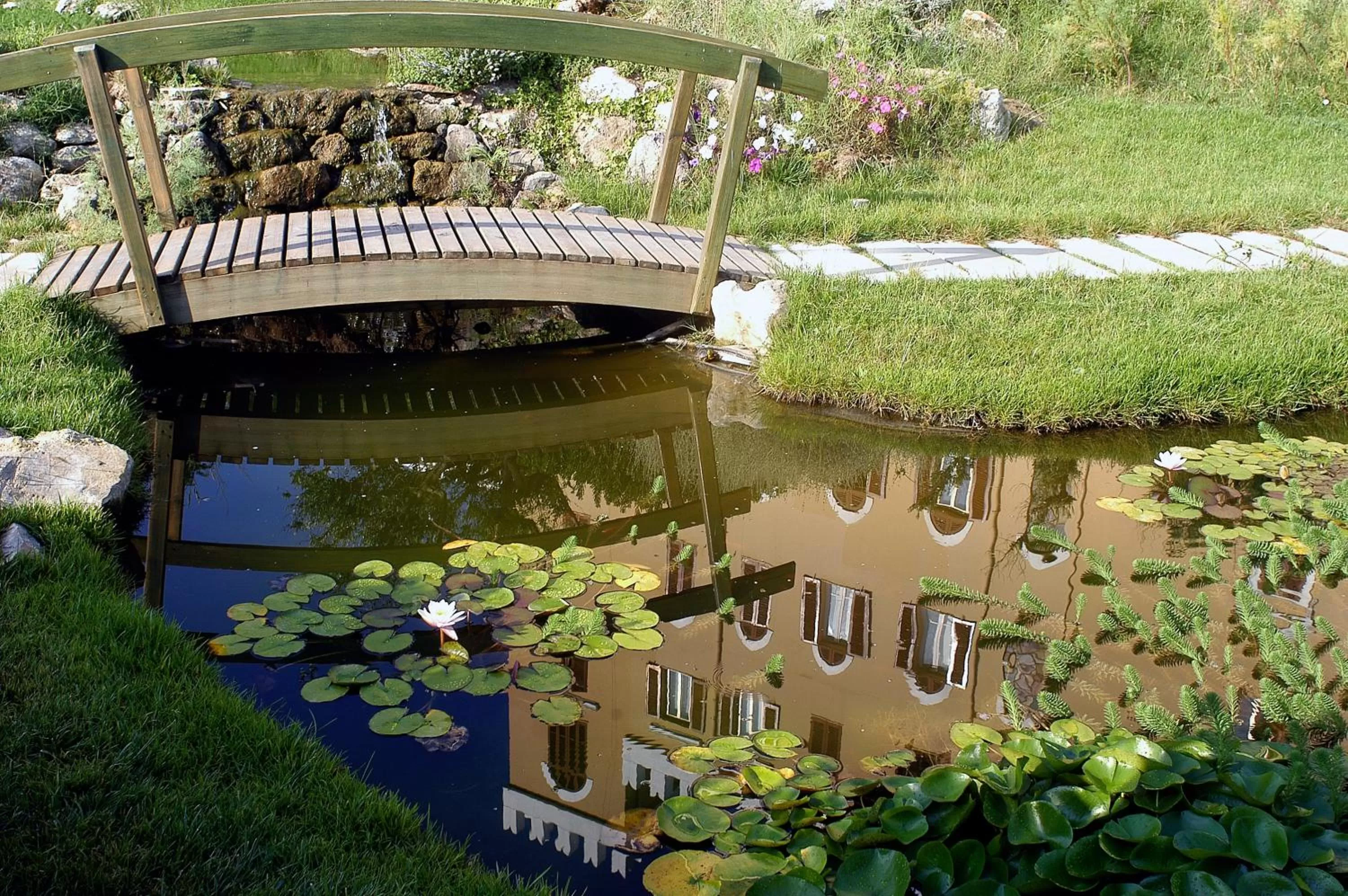 Garden in Villa Las Tronas Hotel & SPA