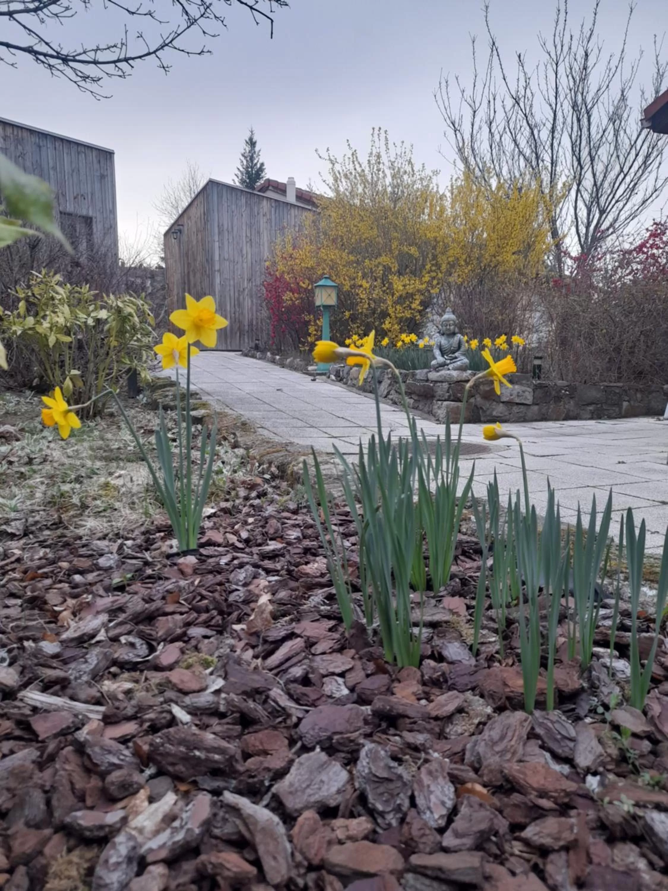 Garden in Hotel de l'Ile d'Amour