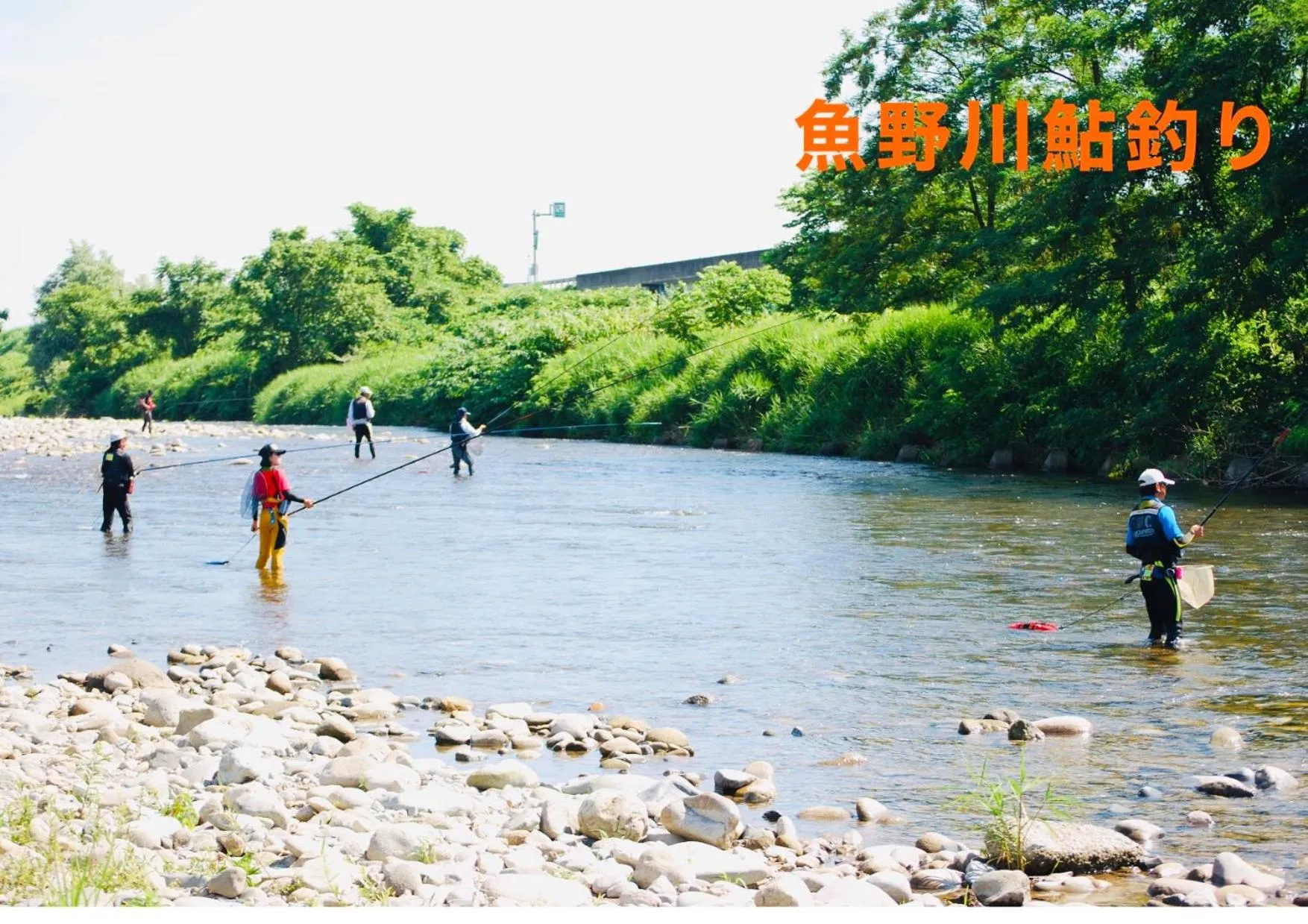 Summer in Belle Vue Nishiura