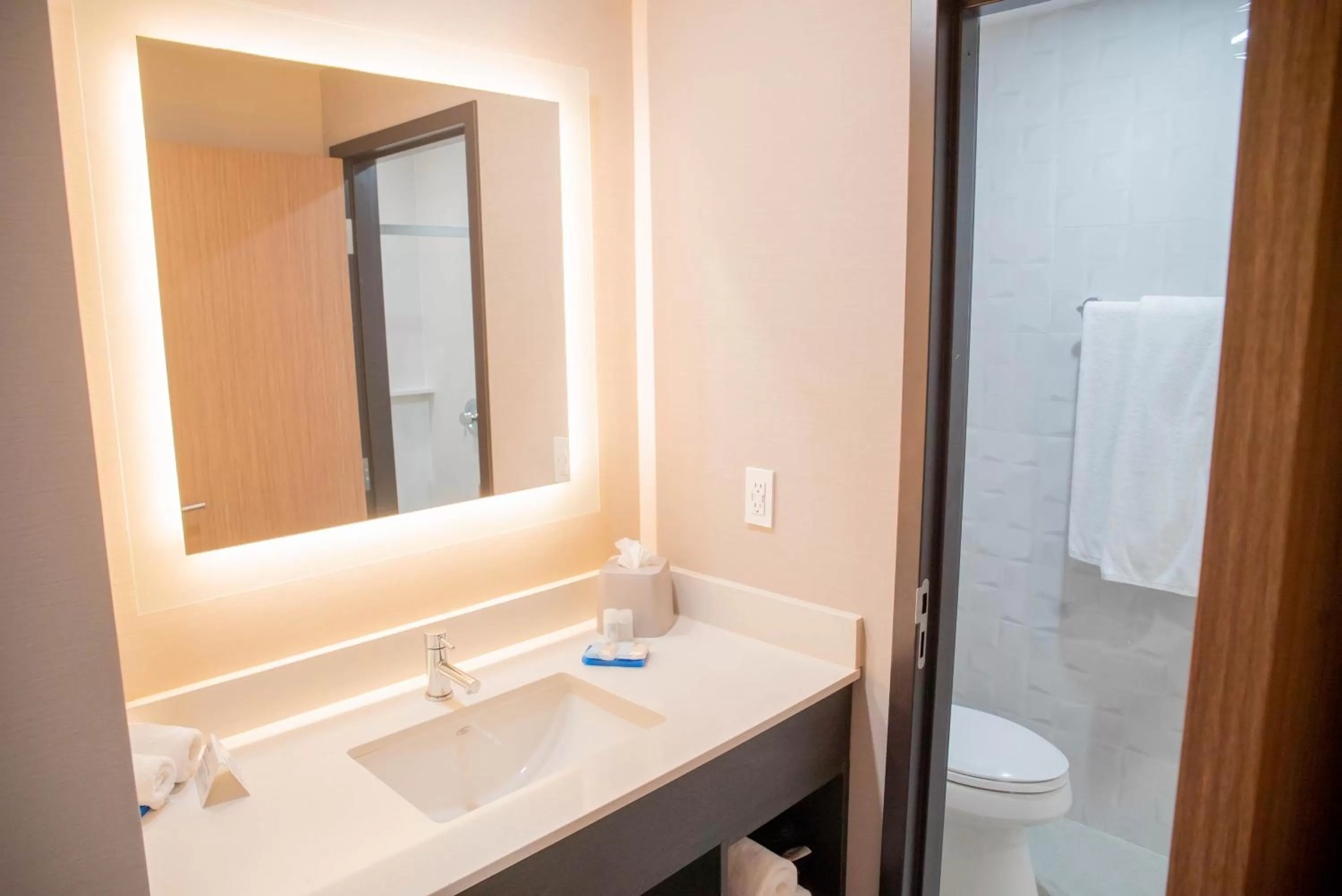 Bathroom in Holiday Inn Express & Suites - Tijuana Otay by IHG