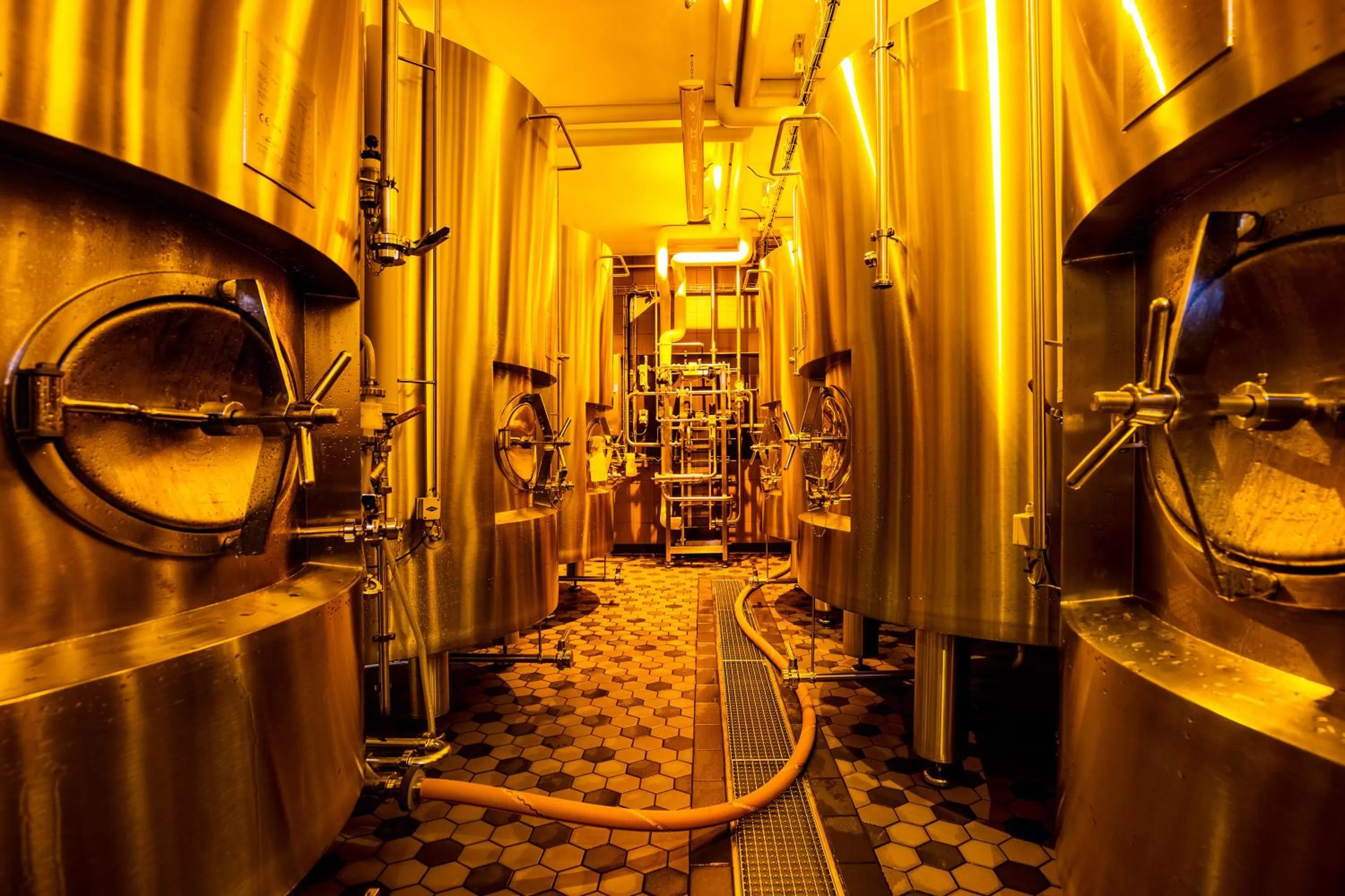 Restaurant/places to eat in RiKu HOTEL Ulm