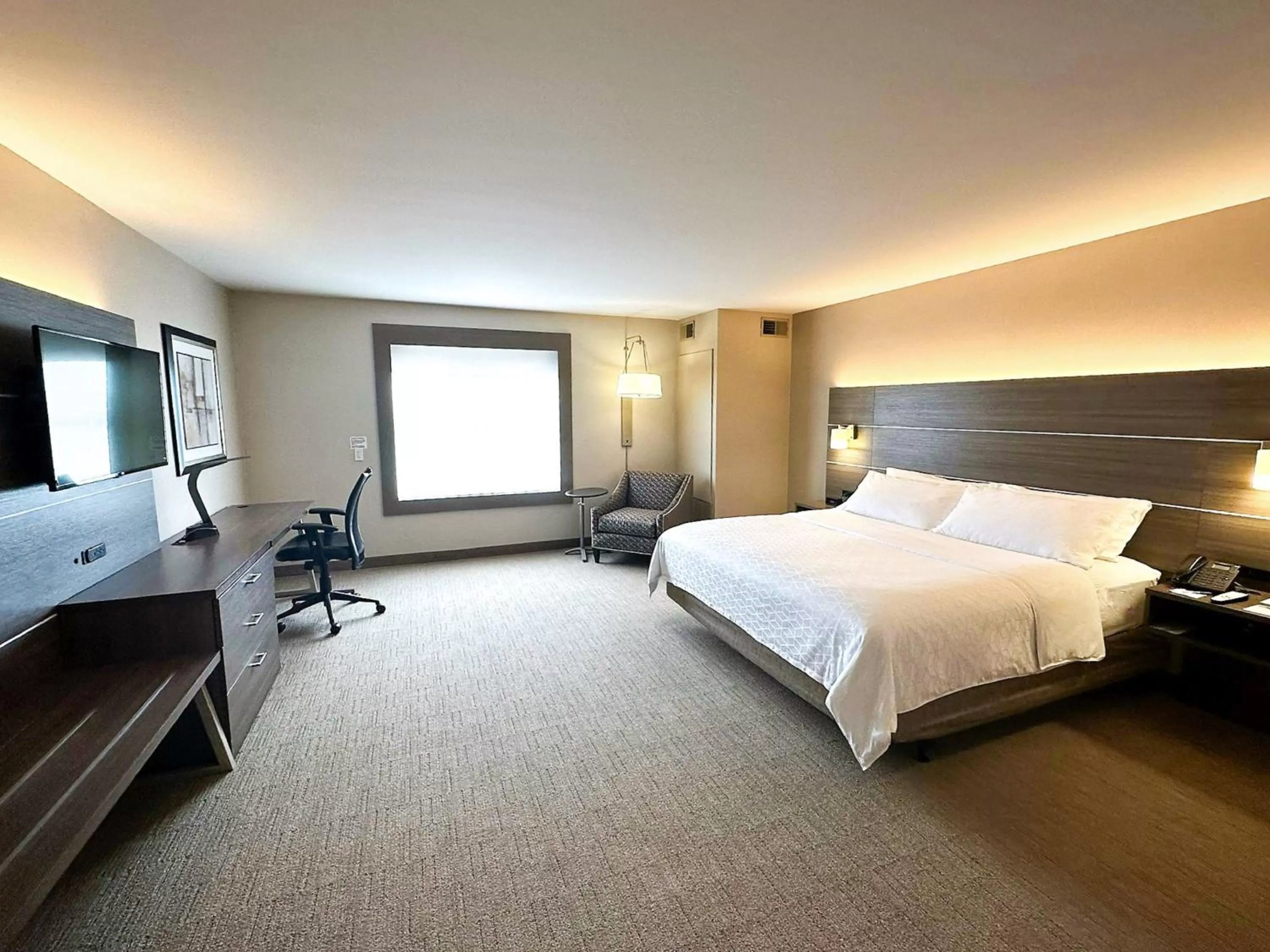 Photo of the whole room in Holiday Inn Express & Suites Plymouth - Ann Arbor Area by IHG