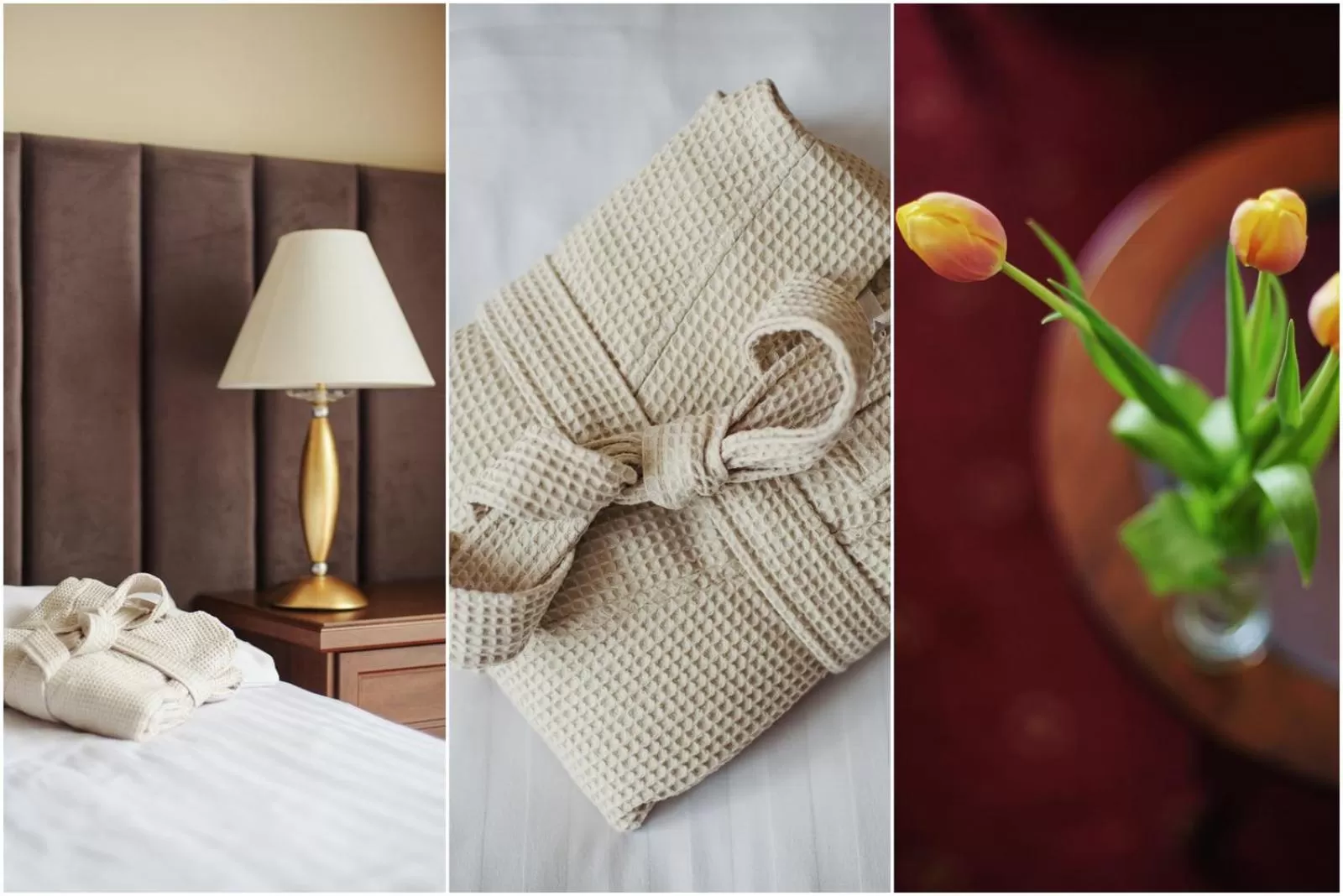 Bed, Seating Area in Lila Medical SPA