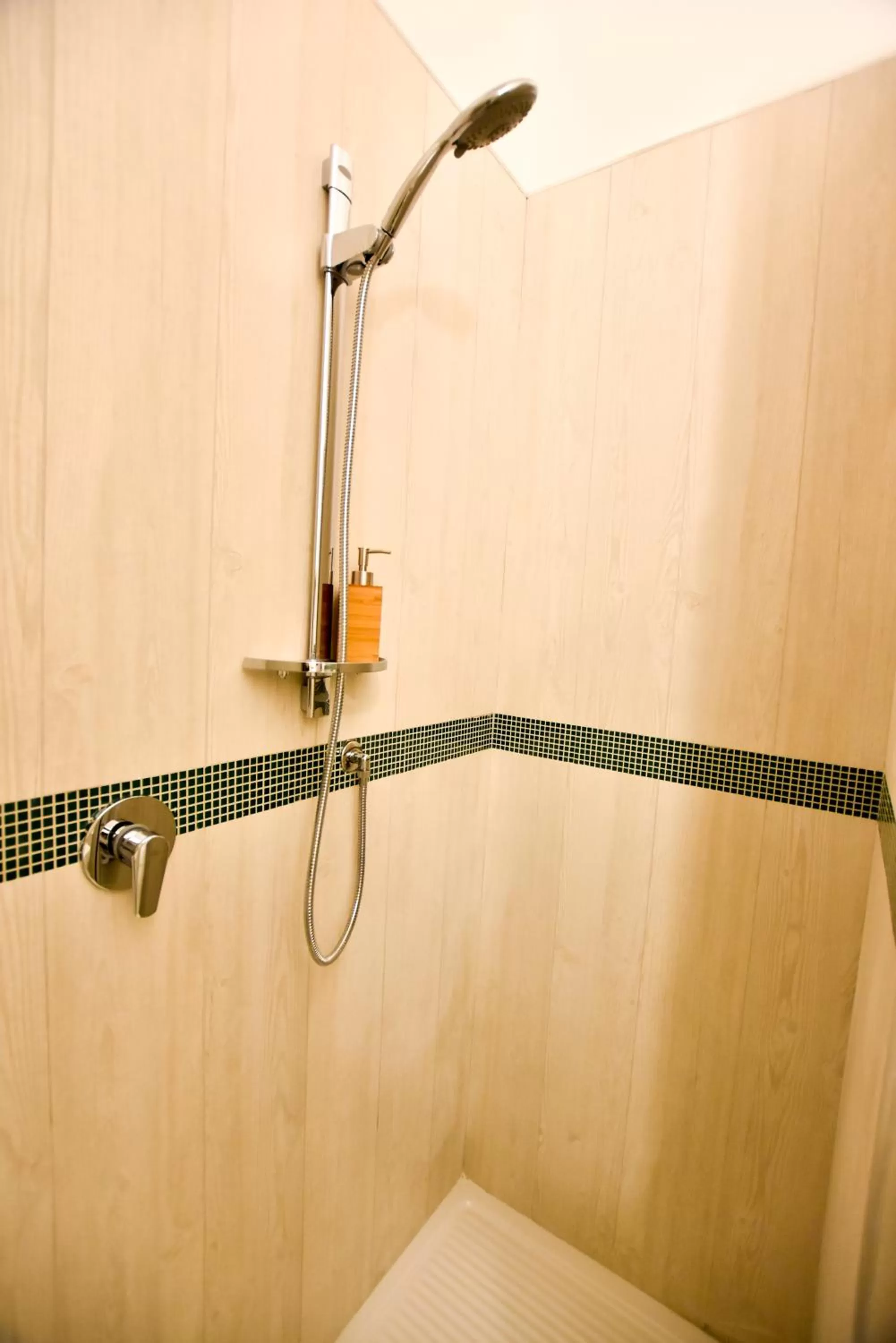 Shower in Domus Borbonica