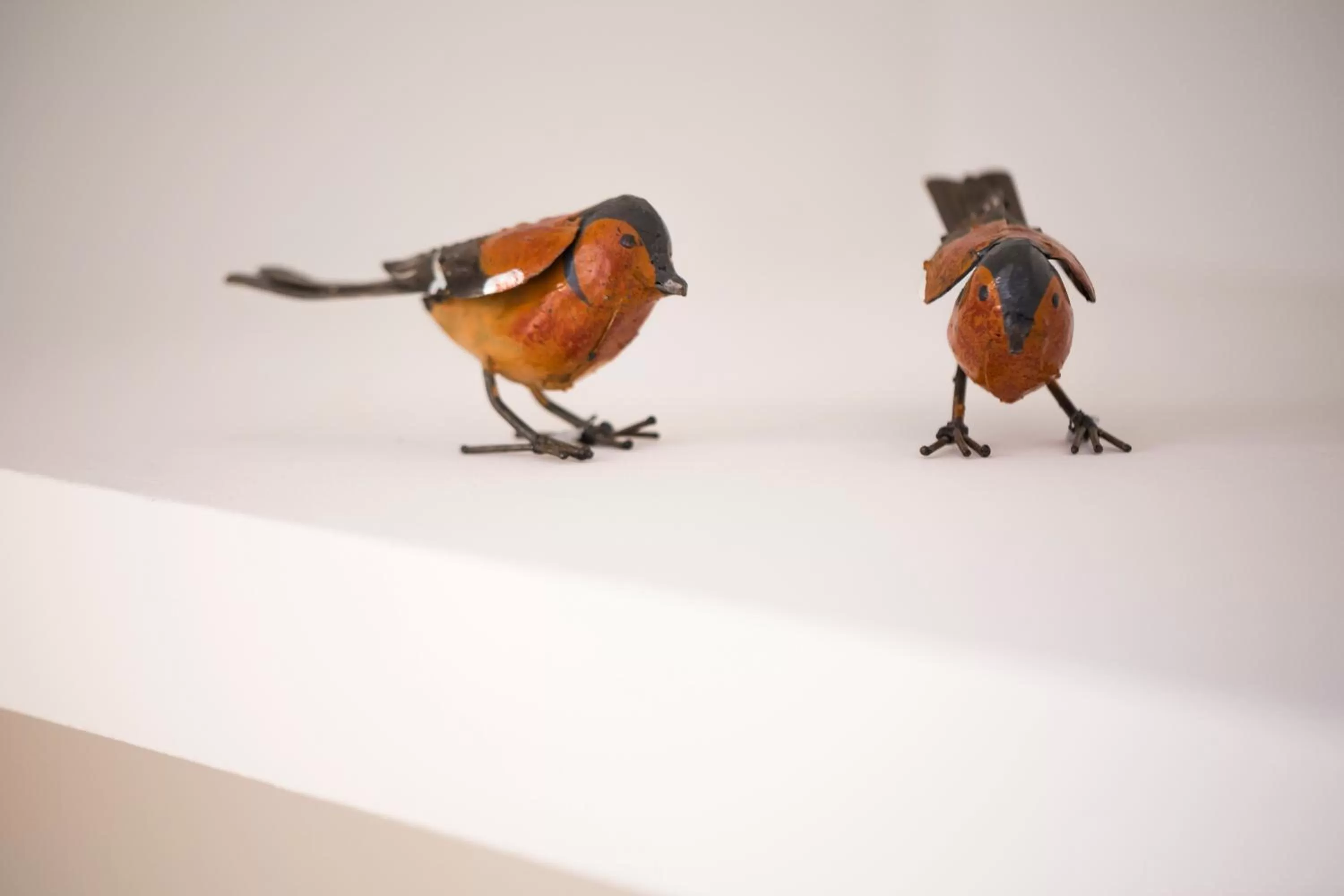 Decorative detail in Clos Saint Jacques - Maison d'Hôtes