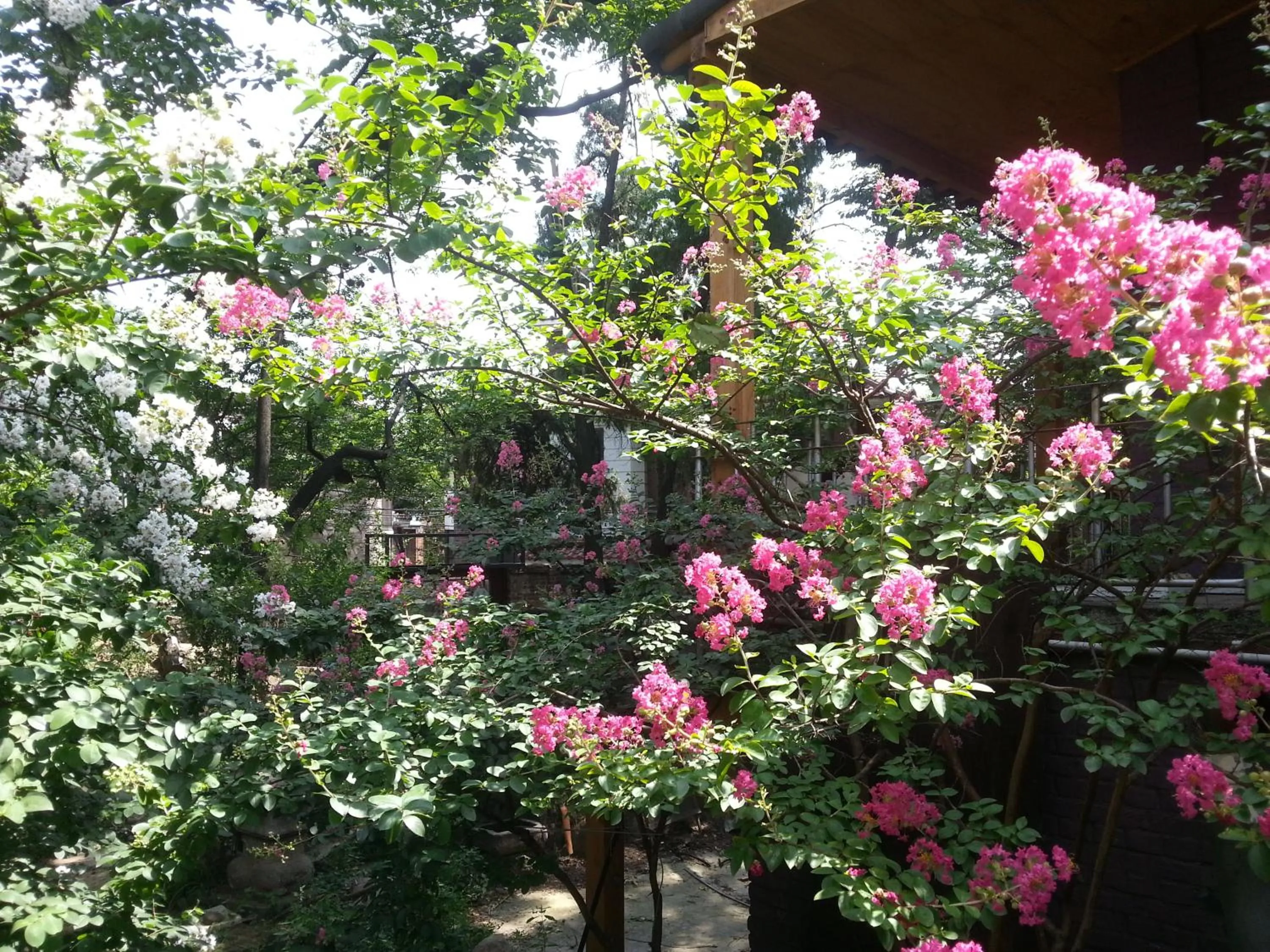 Garden in Jiwoljang Guesthouse