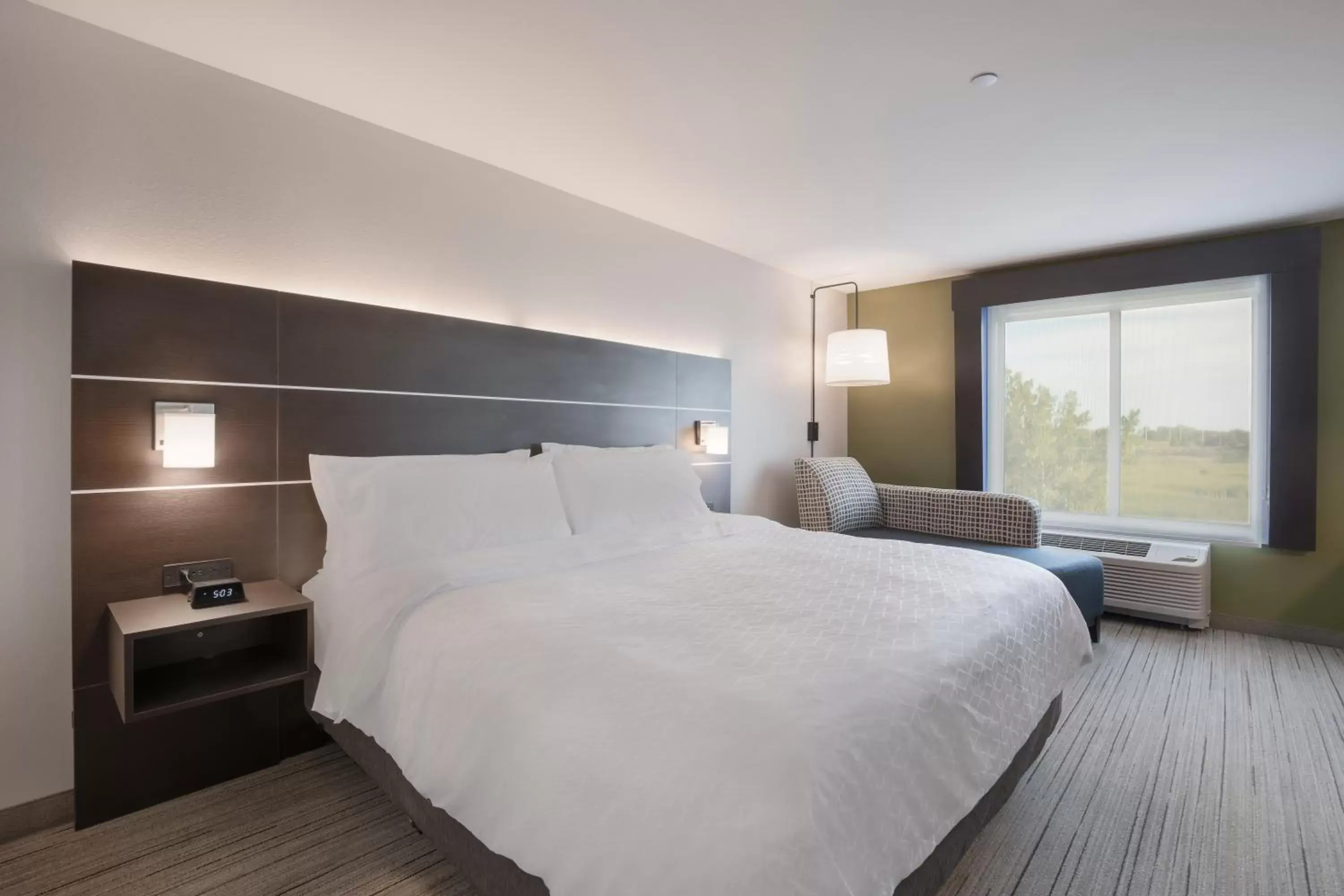 Standard King Room - Non-Smoking in Holiday Inn Express & Suites Chicago - Hoffman Estates, an IHG Hotel Standard King Room - Non-Smoking in Holiday Inn Express & Suites Chicago - Hoffman Estates, an IHG Hotel