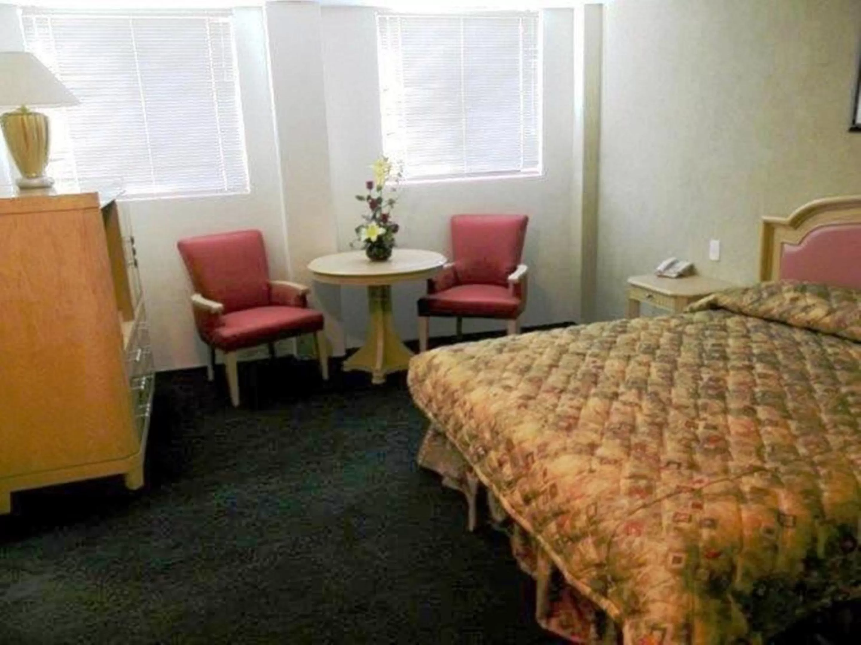 Day, Bed in Hotel San Francisco Irapuato Business Class