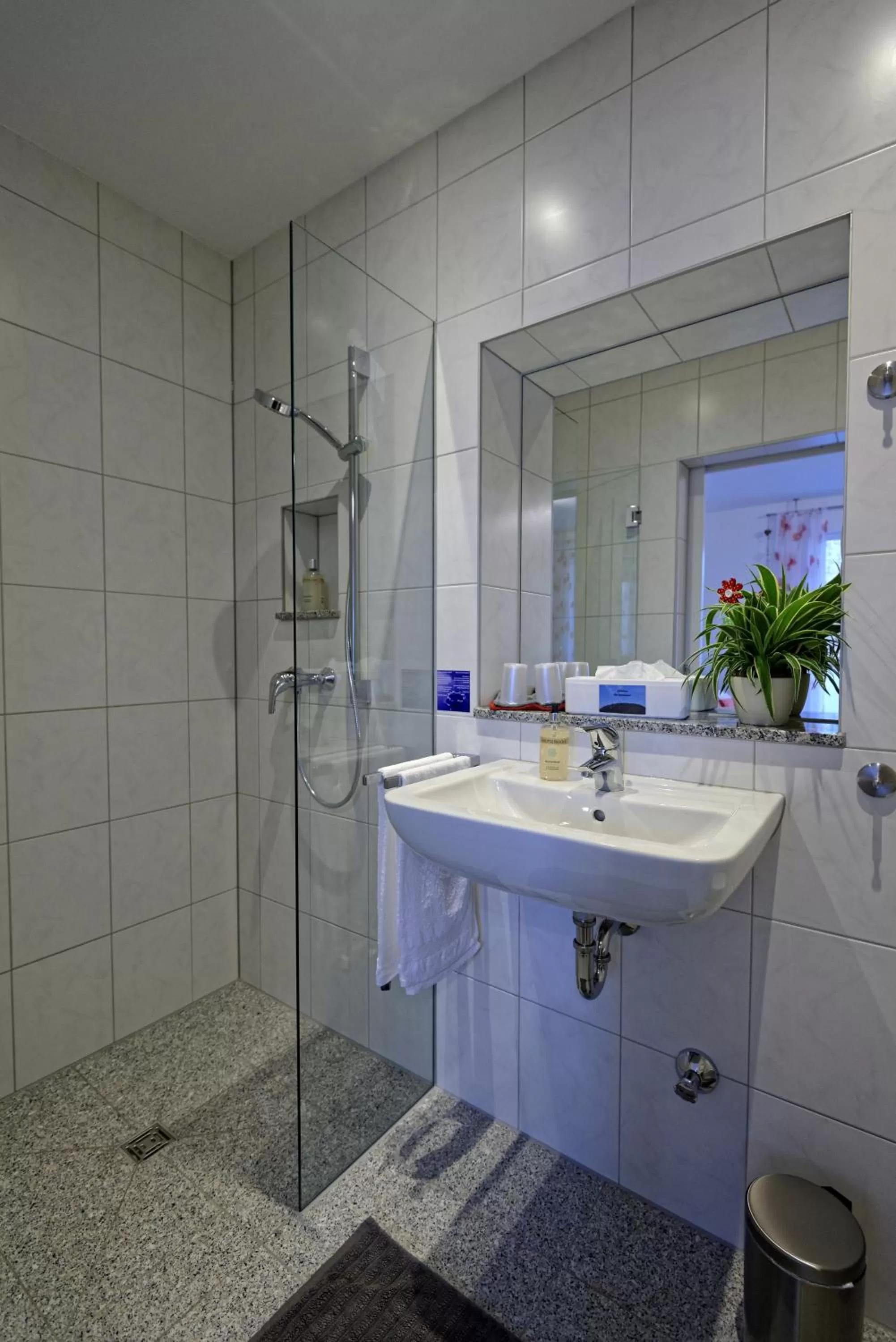 Decorative detail, Bathroom in Gästehaus Am Hochsimmer