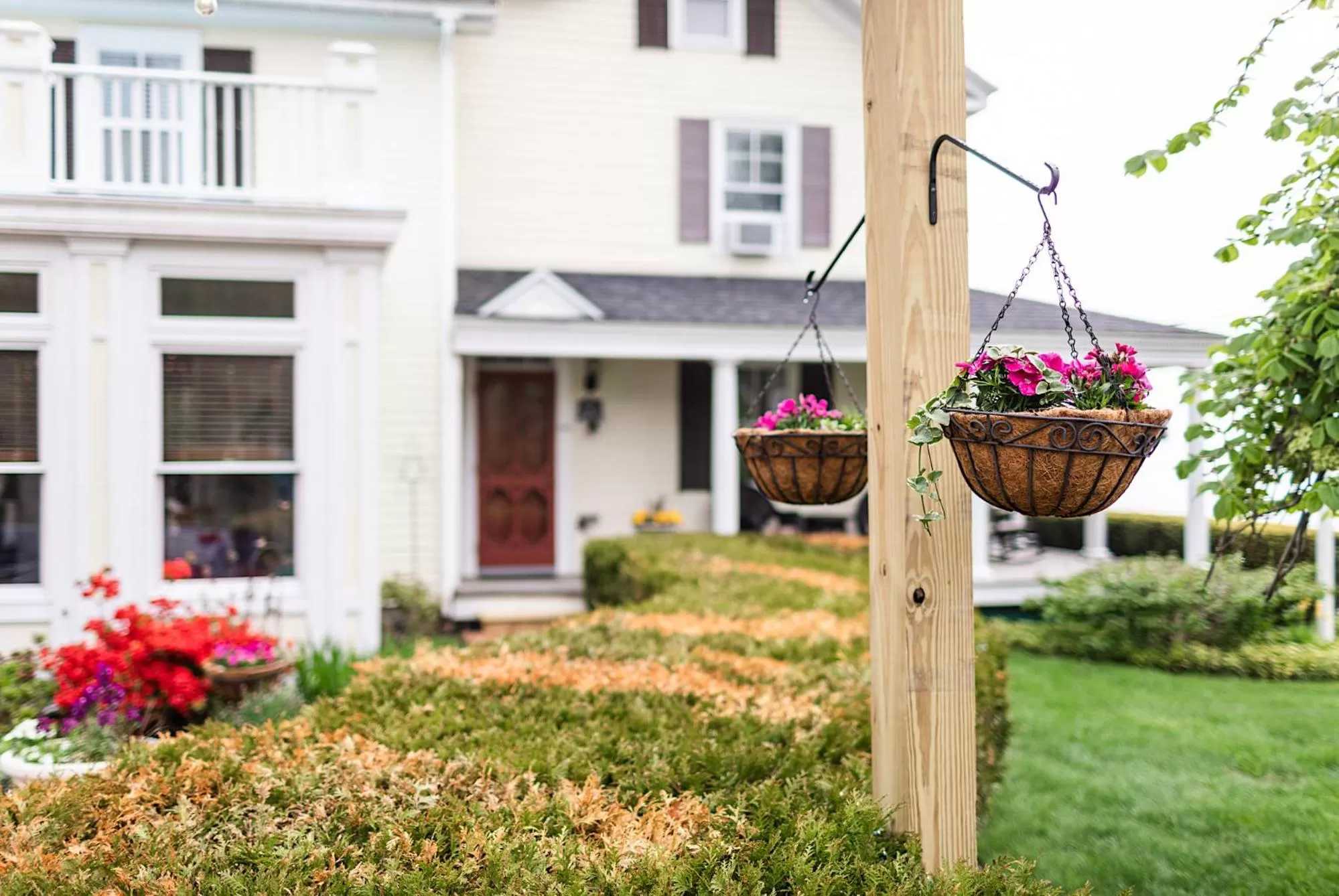 Garden view in Spouter Inn Bed & Breakfast