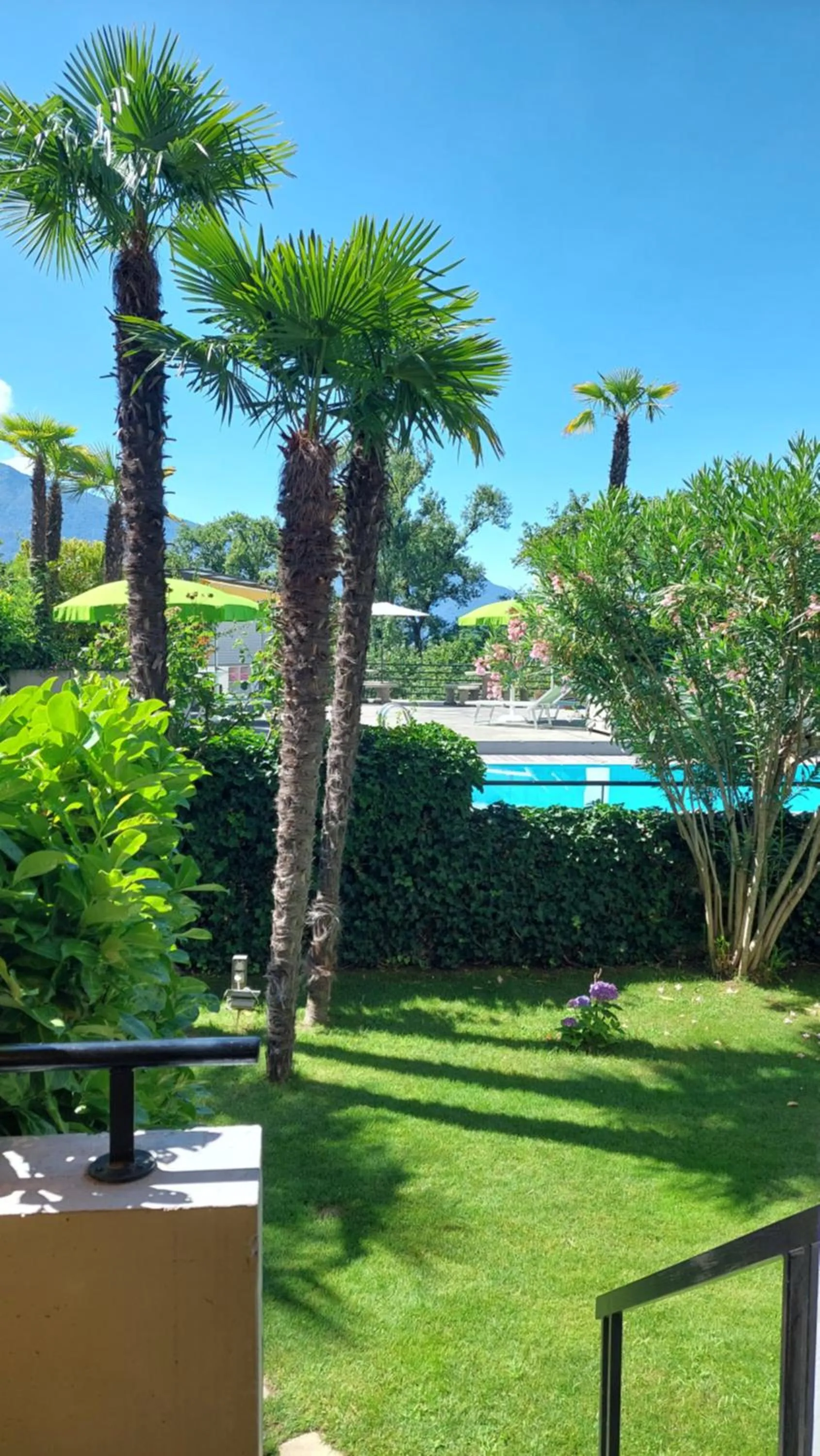 Property building in Hotel Nessi Locarno